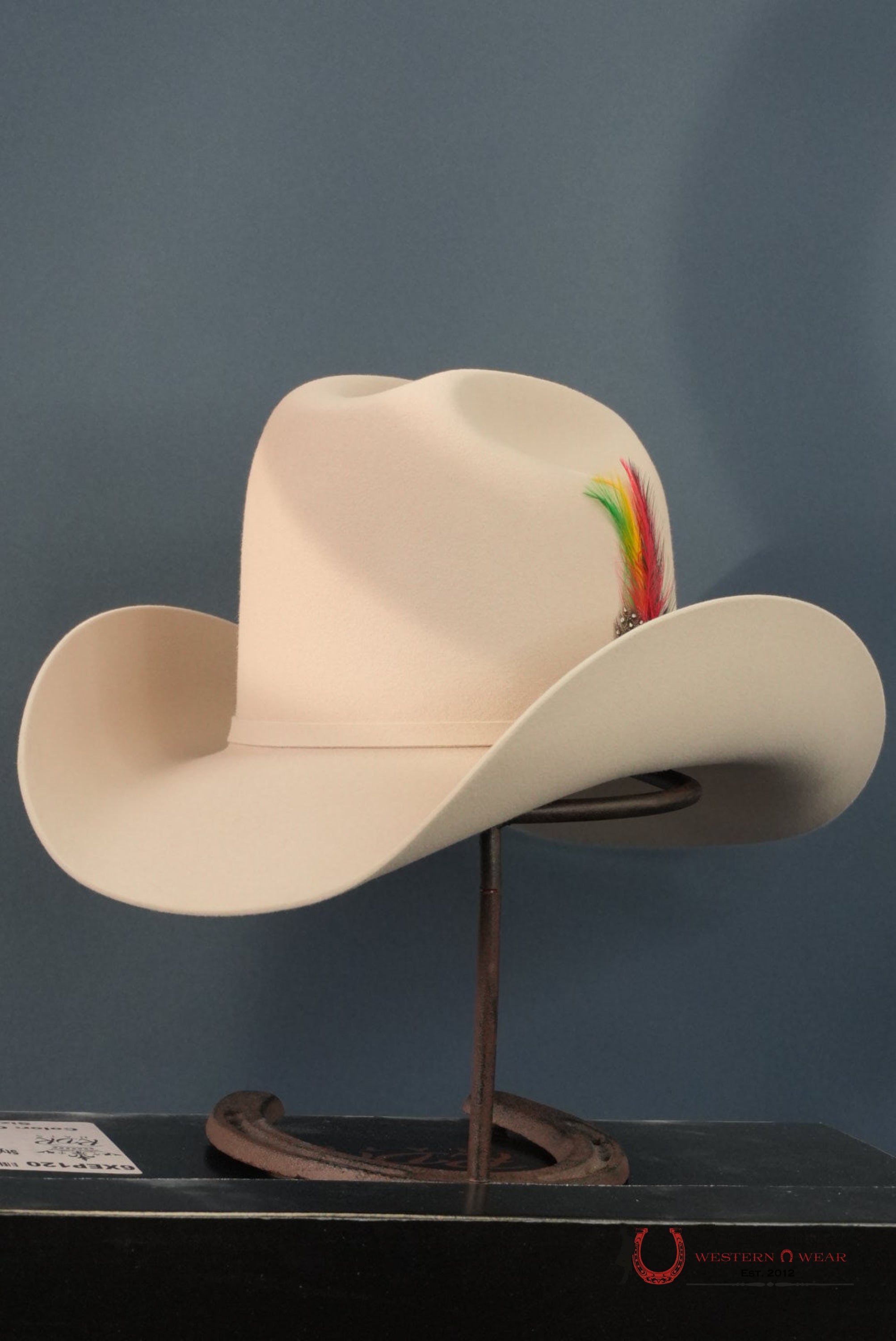 RDR 30X PATRON COWBOY HAT SILVER BELLY TALL CROWN TEJANA