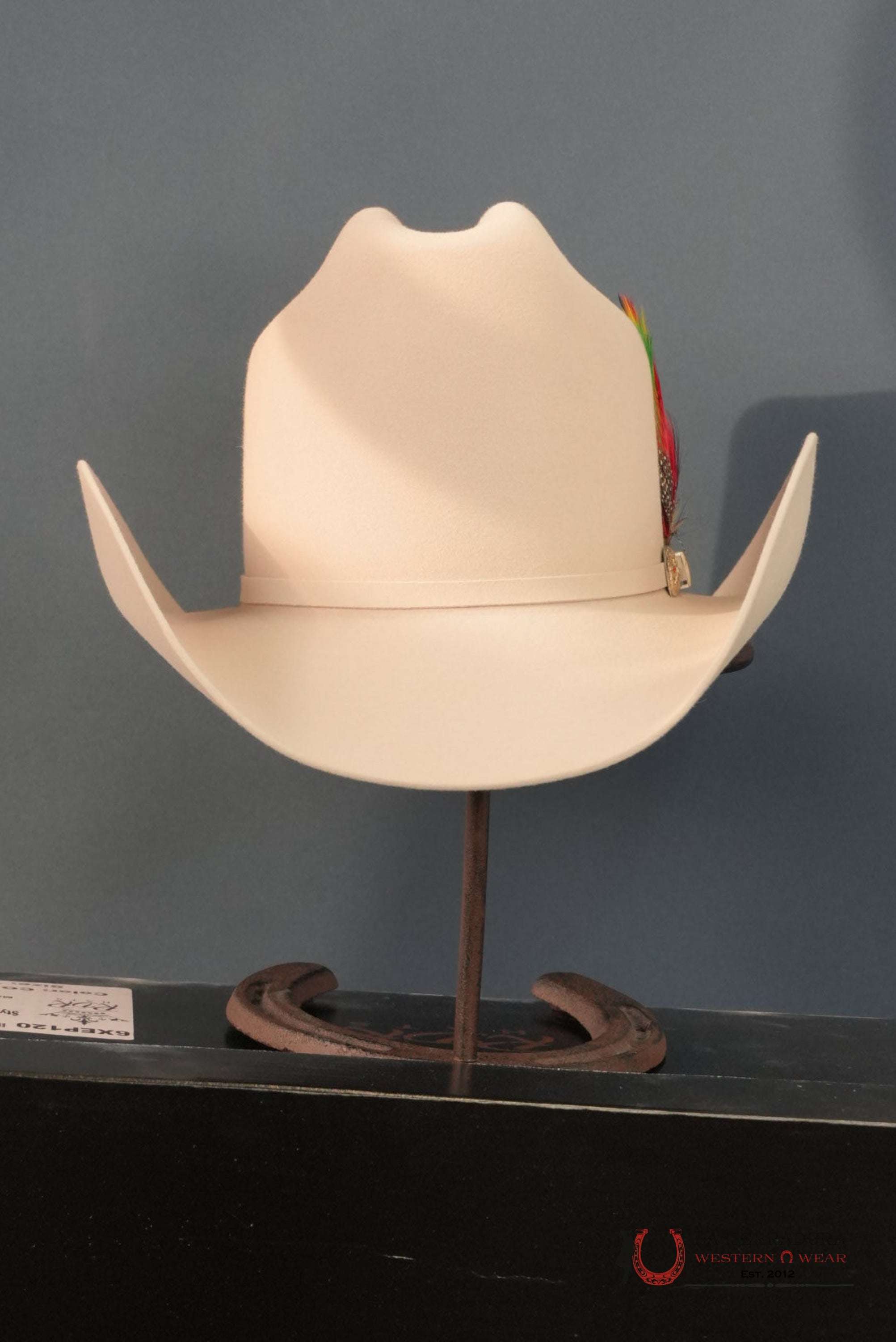 RDR 30X PATRON COWBOY HAT SILVER BELLY TALL CROWN TEJANA
