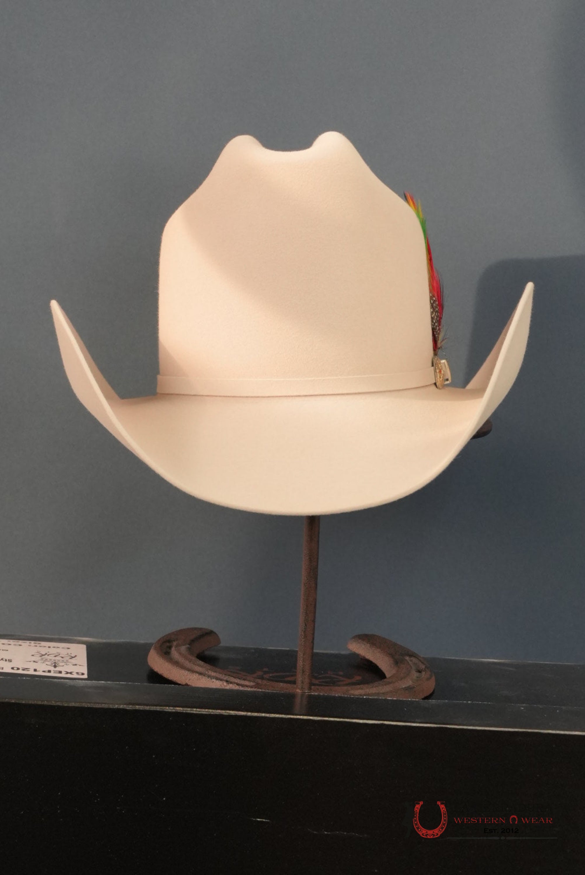 RDR 30X PATRON COWBOY HAT SILVER BELLY TALL CROWN TEJANA