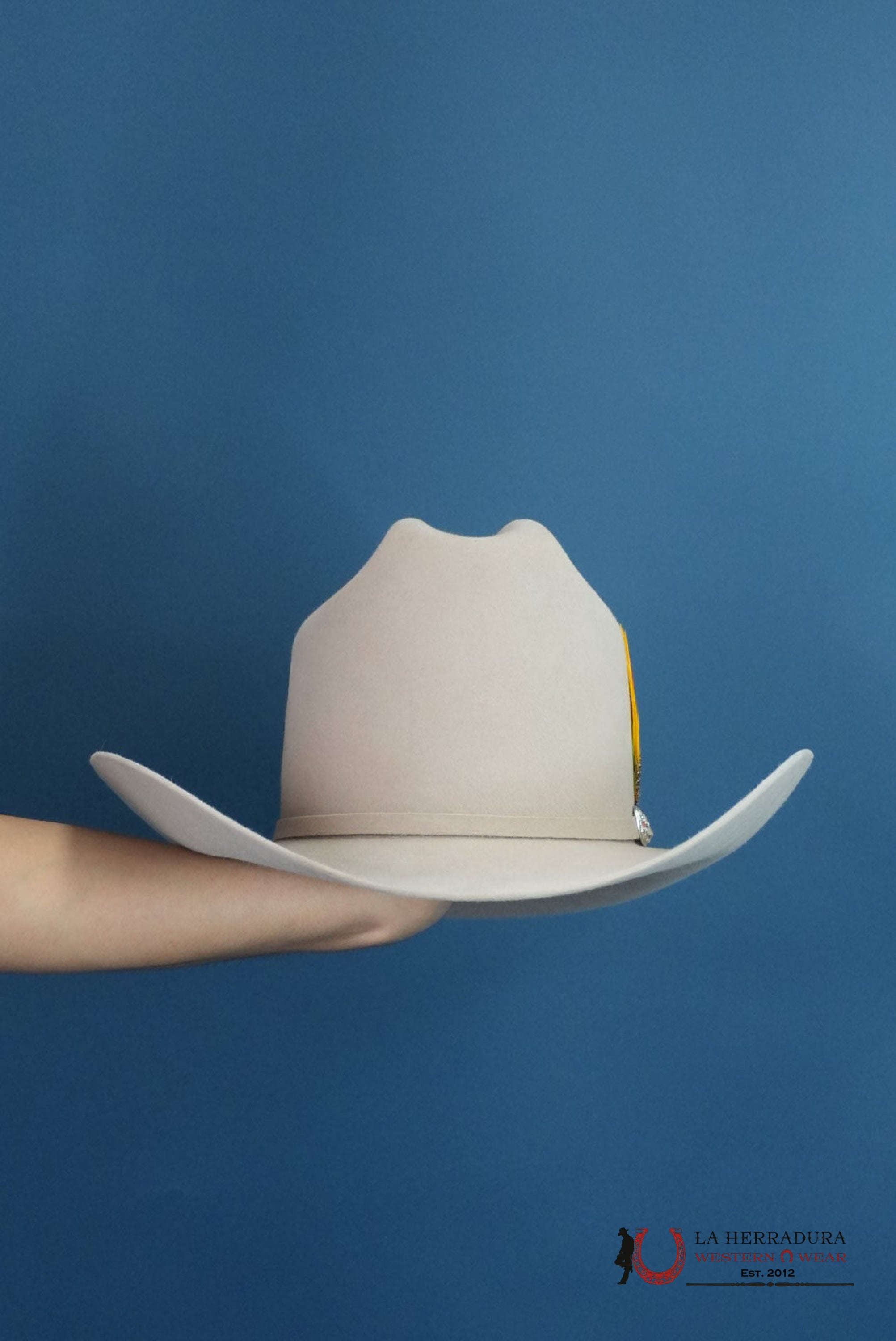 RDR COPA ALTA 6X EL PATRÓN COWBOY HAT SILVER BELLY TEJANA