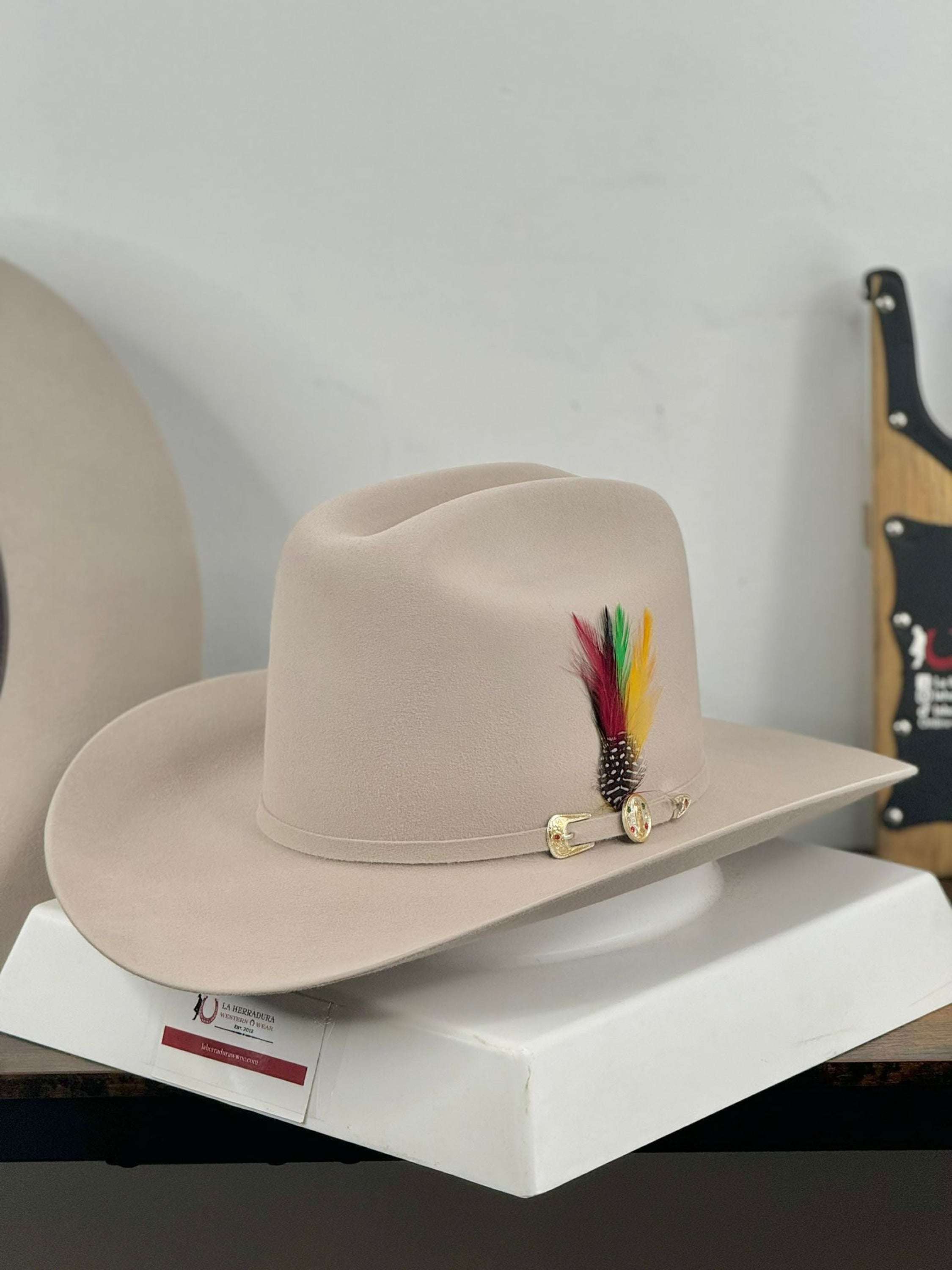 Rdr 6X Silverbelly Copa Alta Virgen De Guadalupe Felt Hat Guadalupana Tejana