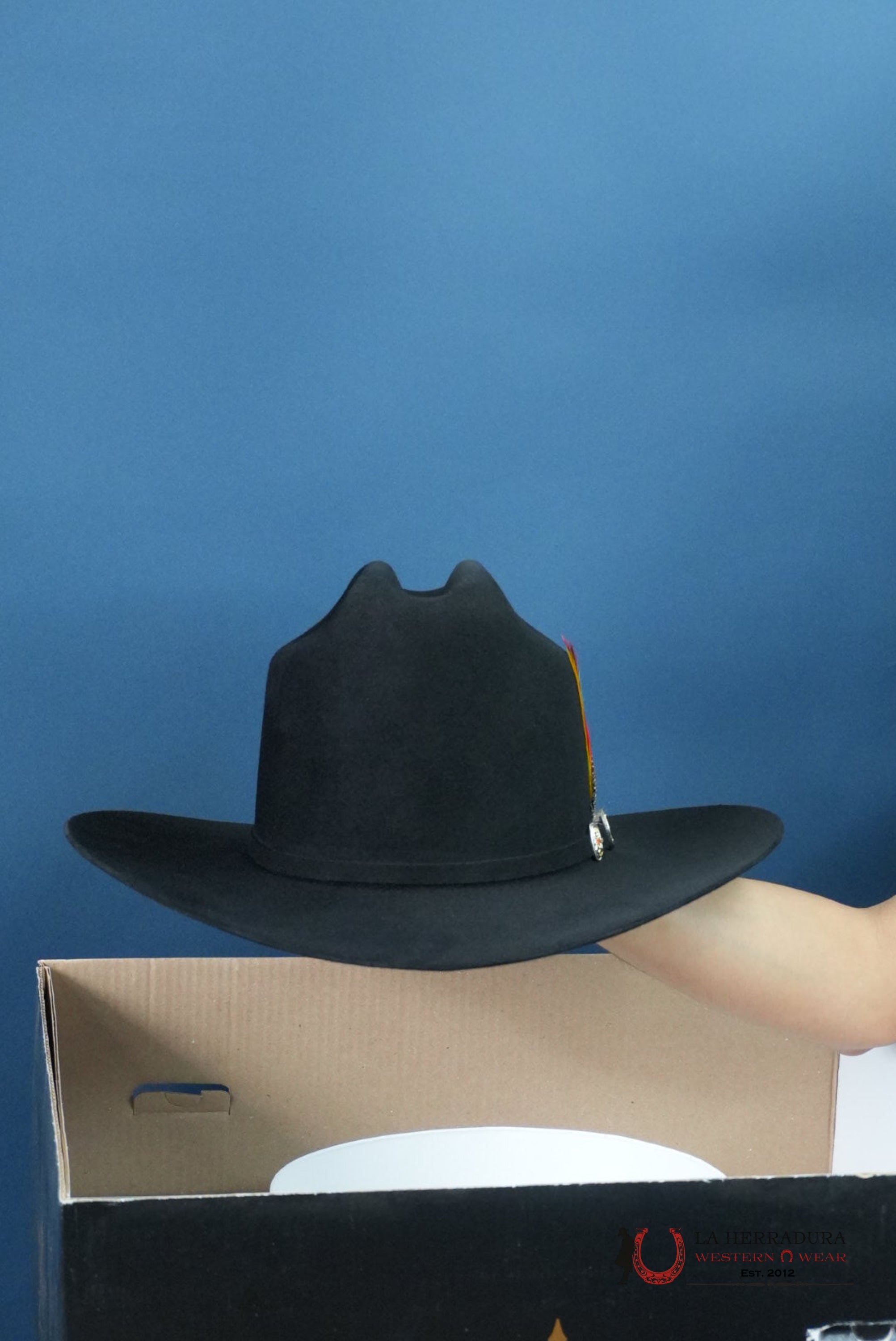 RDR 6X BLACK COPA ALTA VIRGEN DE GUADALUPE FELT HAT GUADALUPANA TEJANA