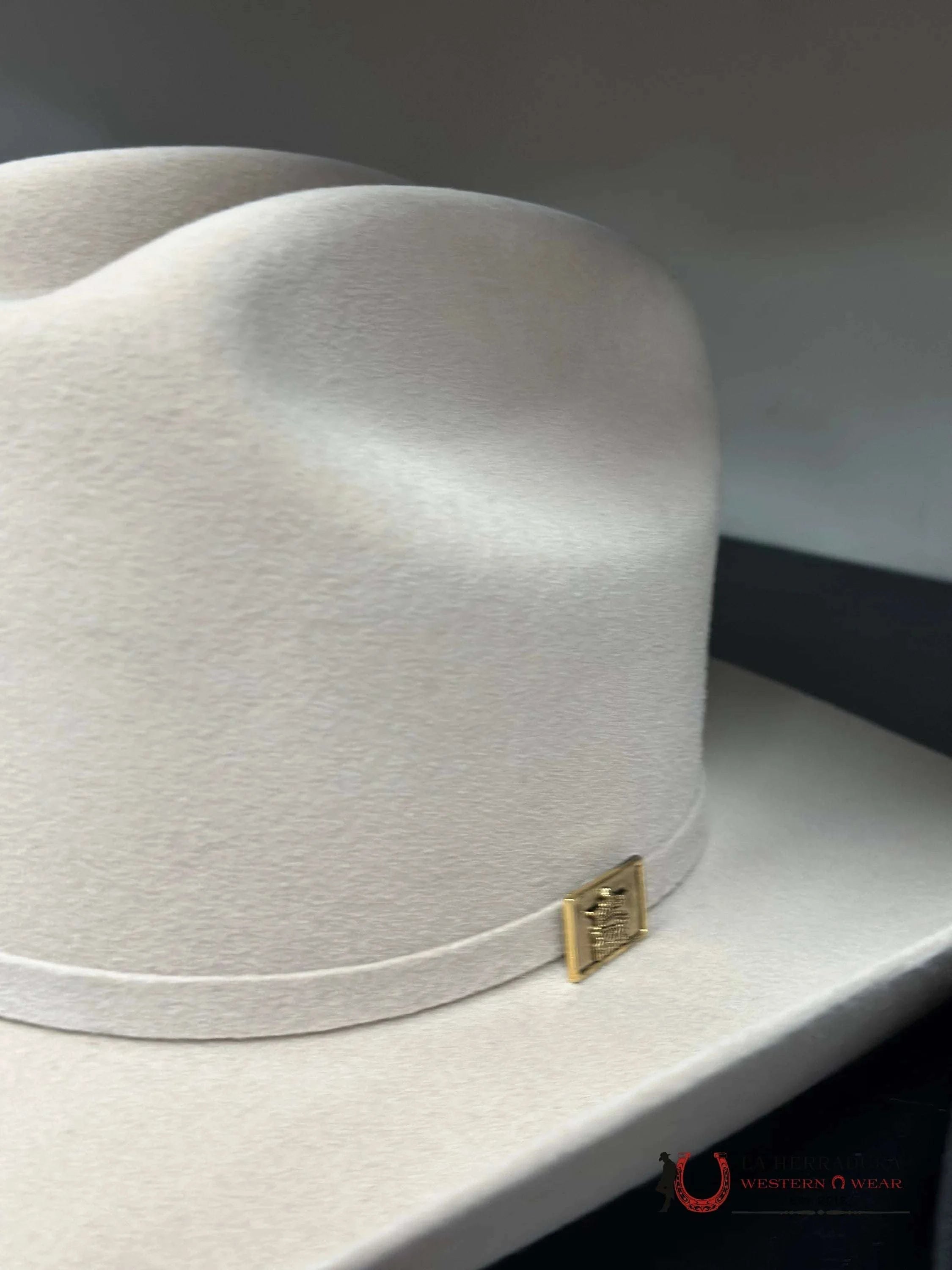 Rdr Kids Silverbelly Felt Hat Niños