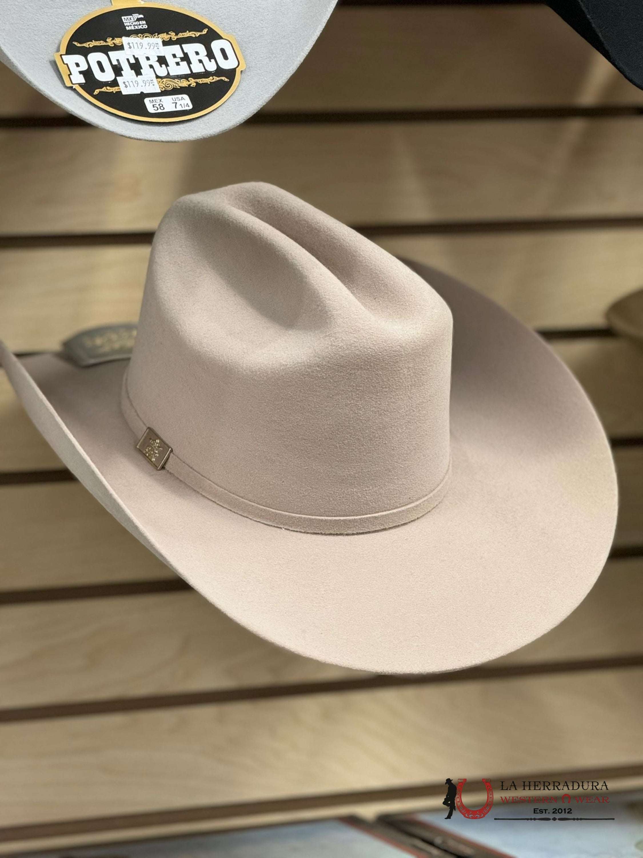 Rdr Silver Belly Felt Hat 4X Tejana
