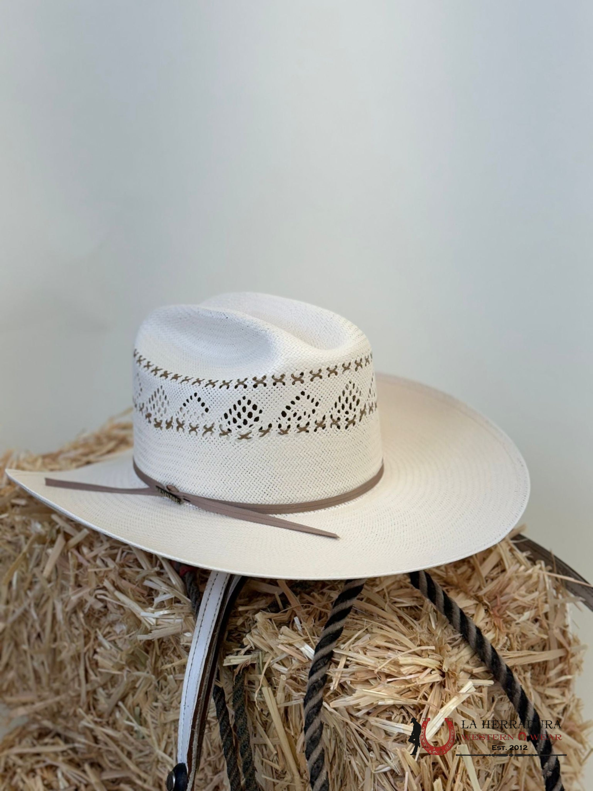 Resistol Natural Black Ridge 20X Straw Hat Tejana