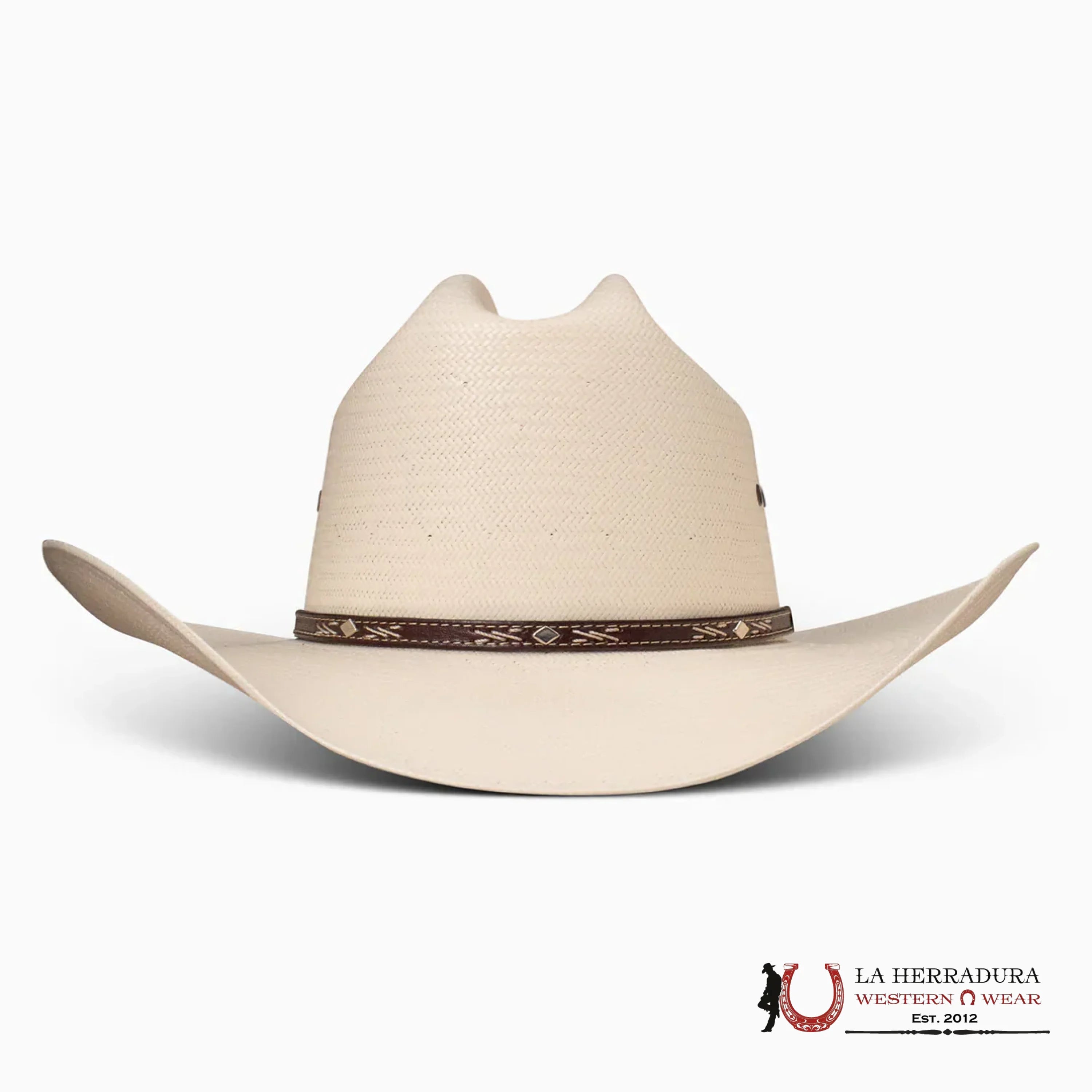 RESISTOL NATURAL LAMBERT 81 10x TEJANA