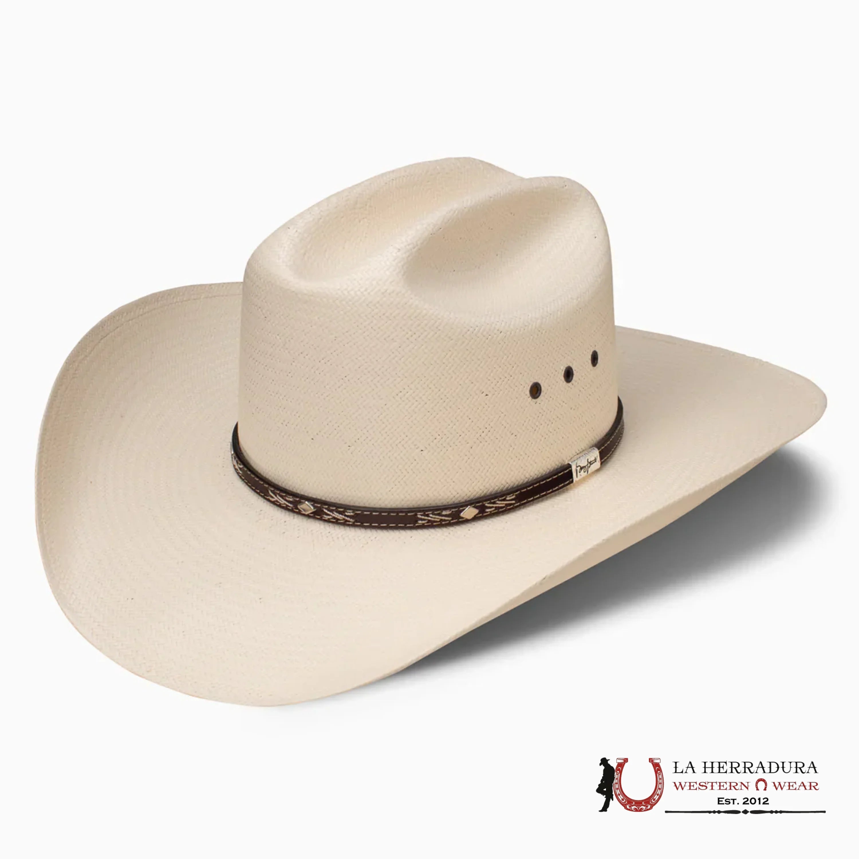 RESISTOL NATURAL LAMBERT 81 10x TEJANA