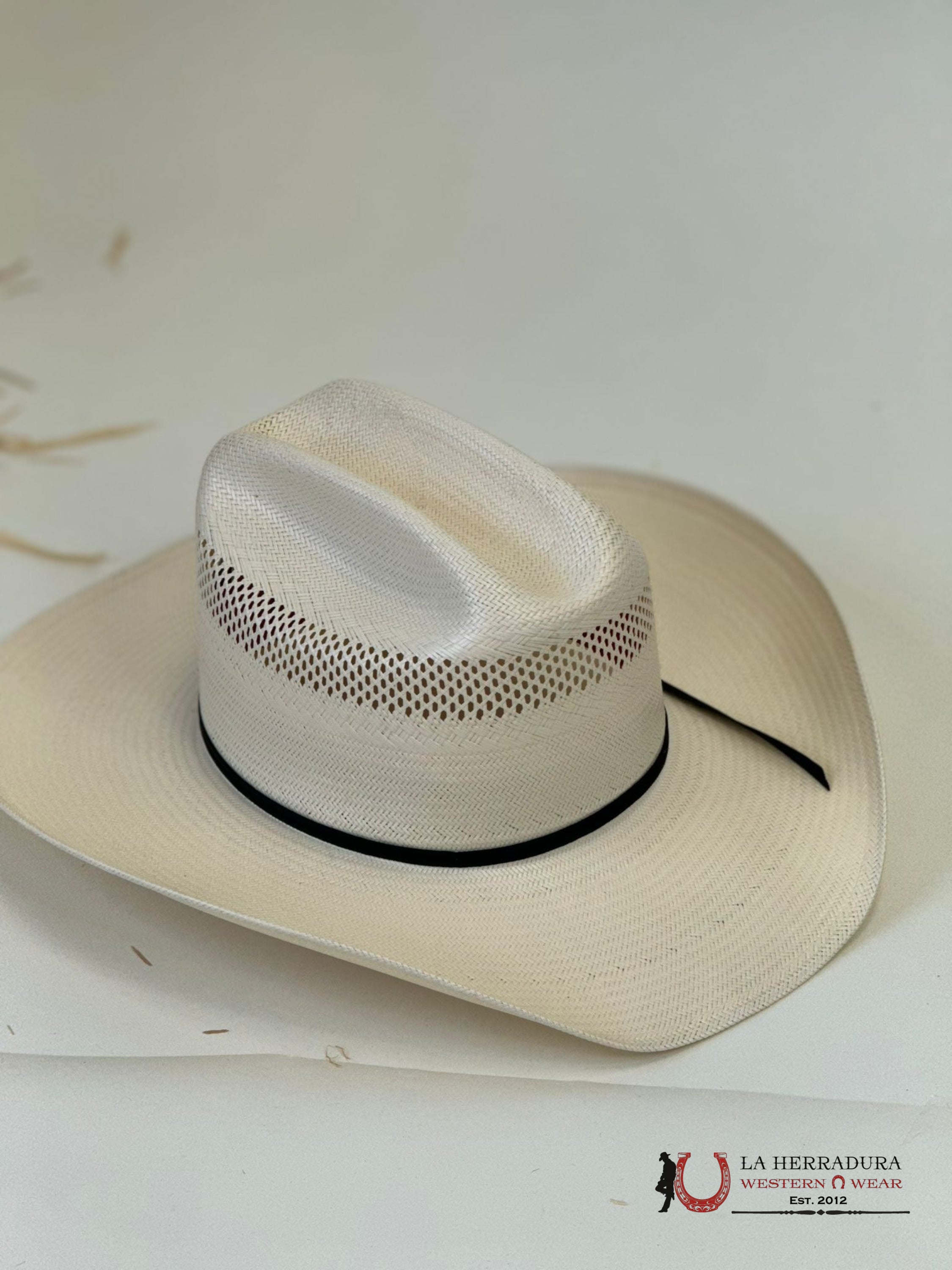 Resistol Natural Ustrc Big Money 10X Straw Hat Tejana