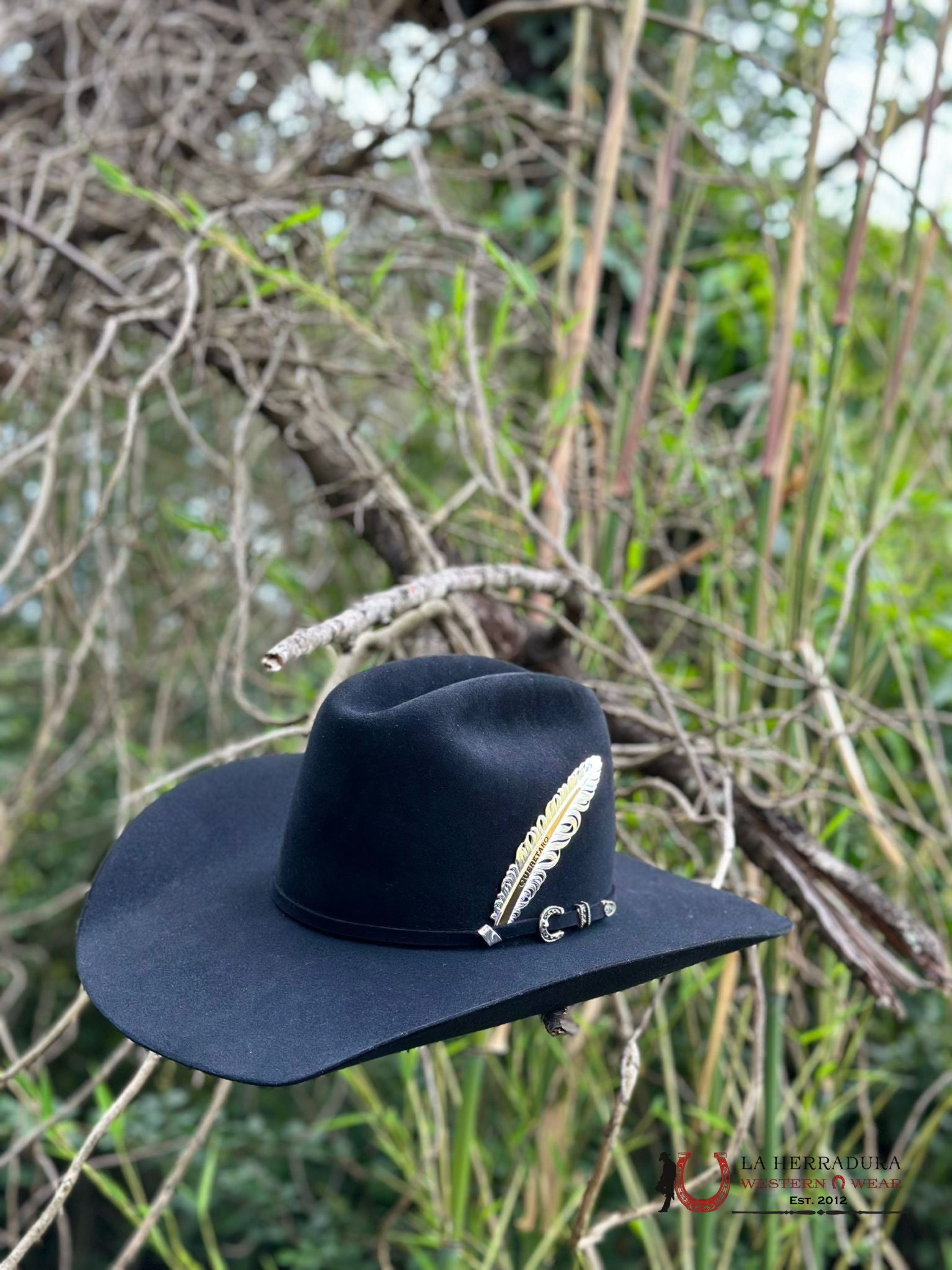 Resistol Rough N Ready 30X Black Tejana