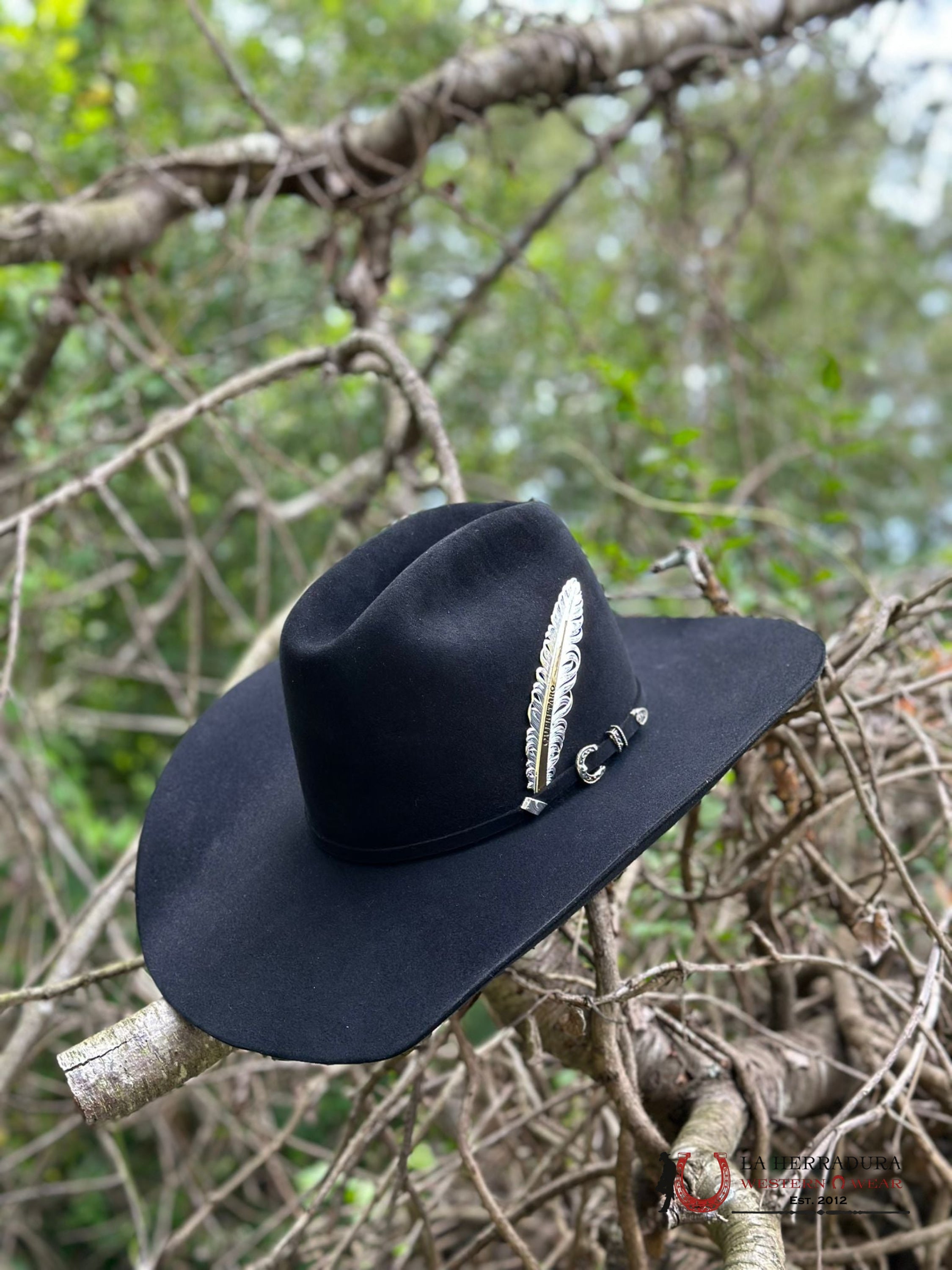 Resistol Rough N Ready 30X Black Tejana