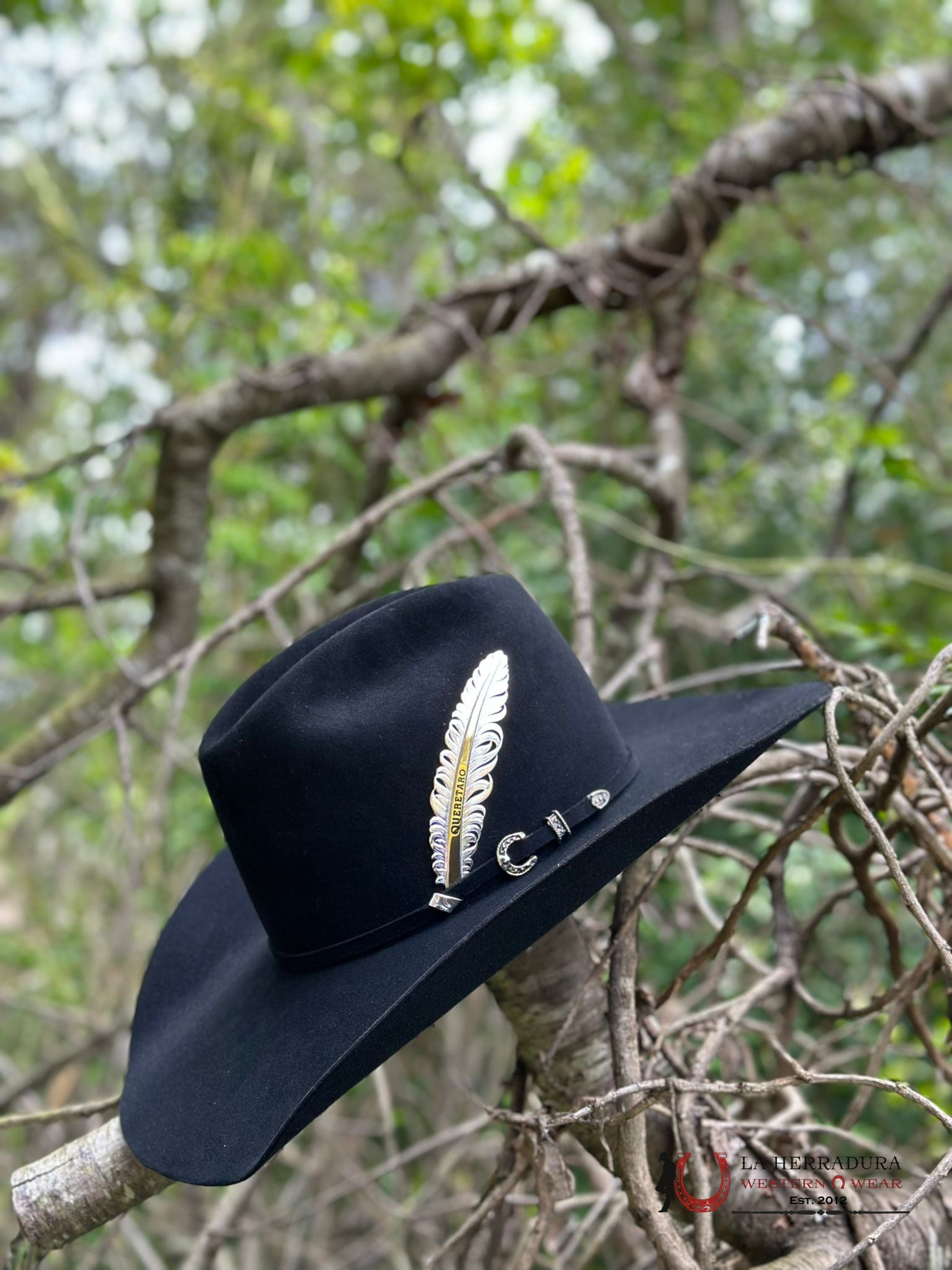 Resistol Rough N Ready 30X Black Tejana