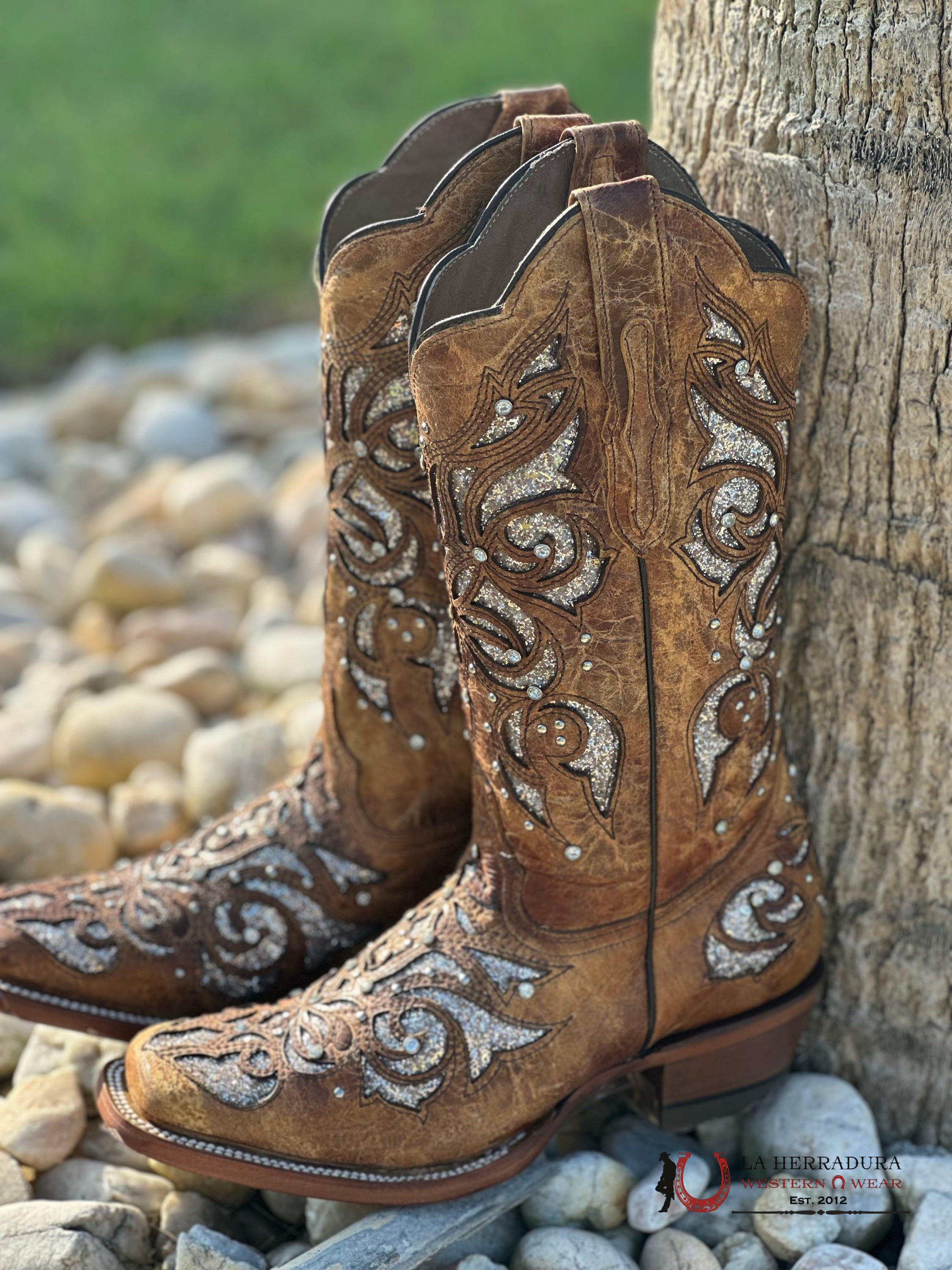 Reywelt Miranda 253 Crater Miel Boot Botas Mujeres