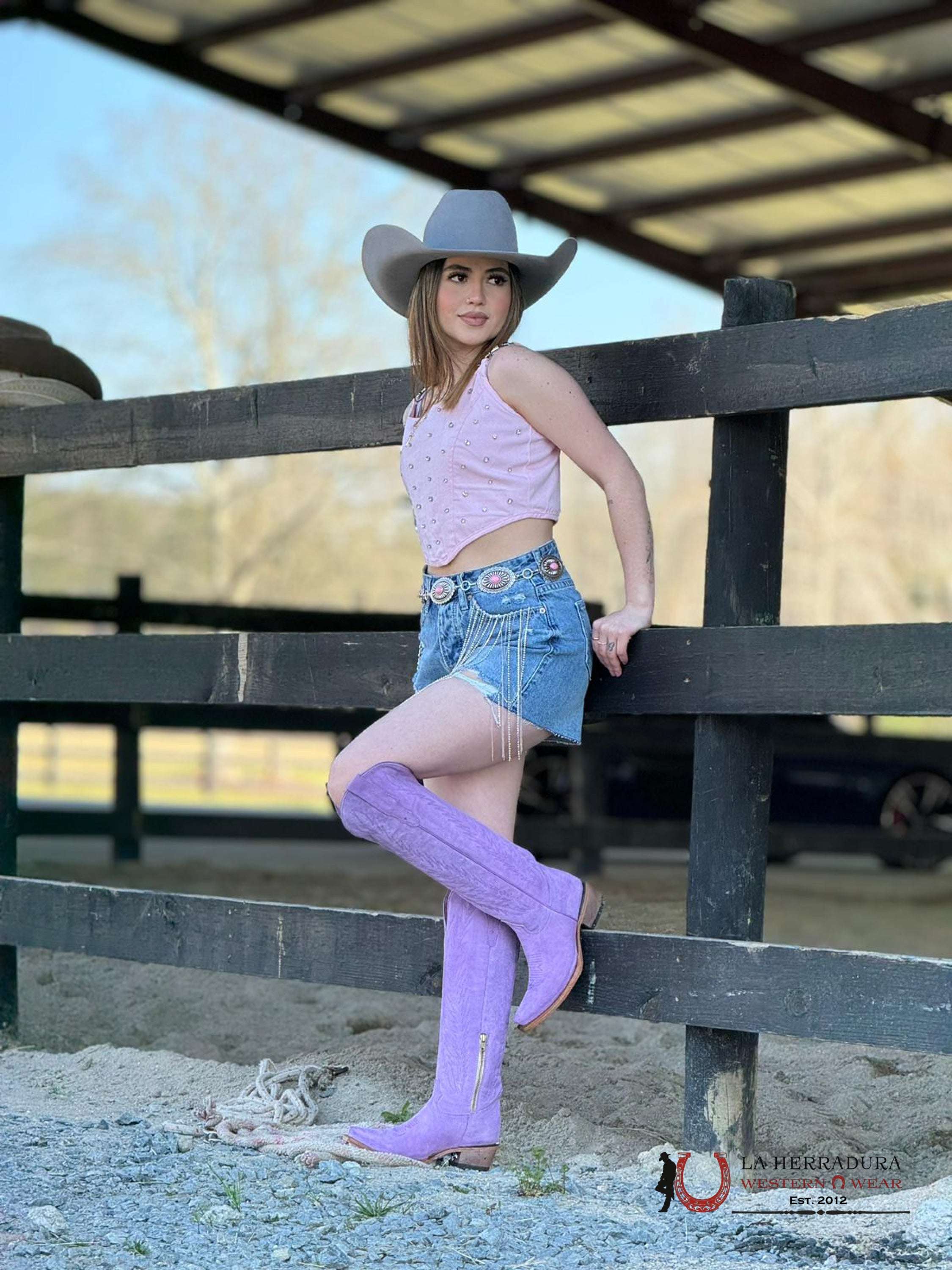 Rock’em Gamuza Lila Claro Snip Toe Tall Boot Botas Mujeres