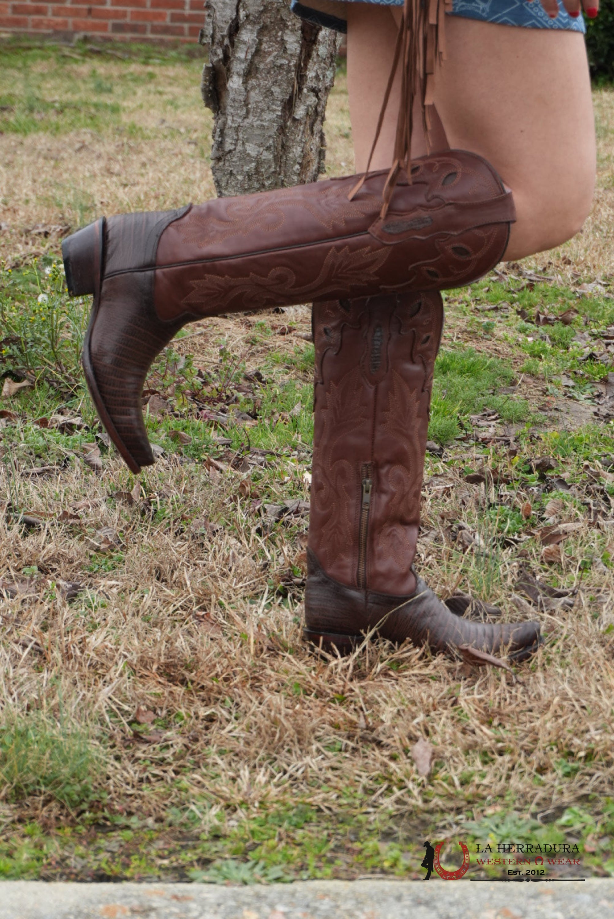 Rock’em Lizard Grabado Café Snip Toe BOTAS MUJERES