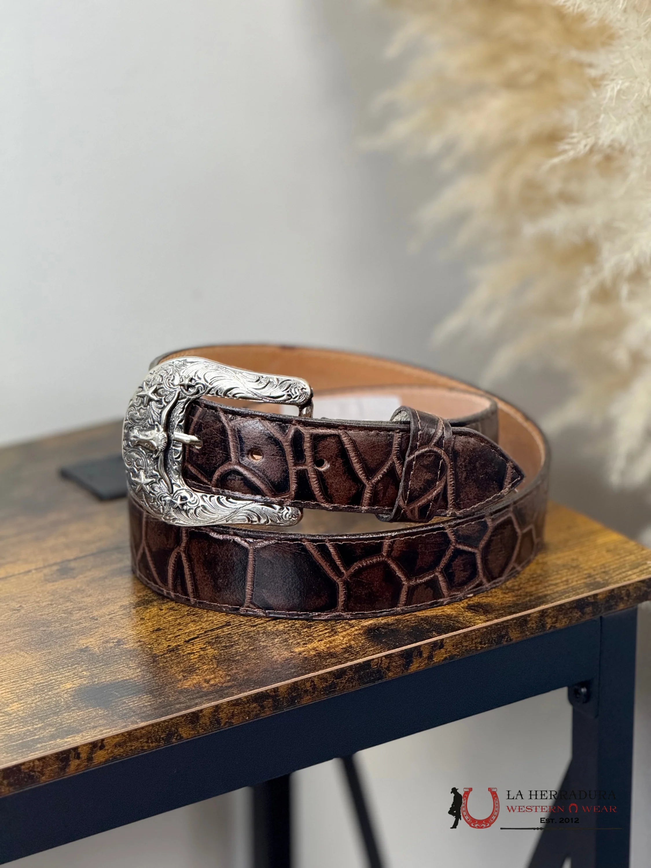 ROCKEM MEN DARK BROWN TURTLE BACK CINTURONES HOMBRES