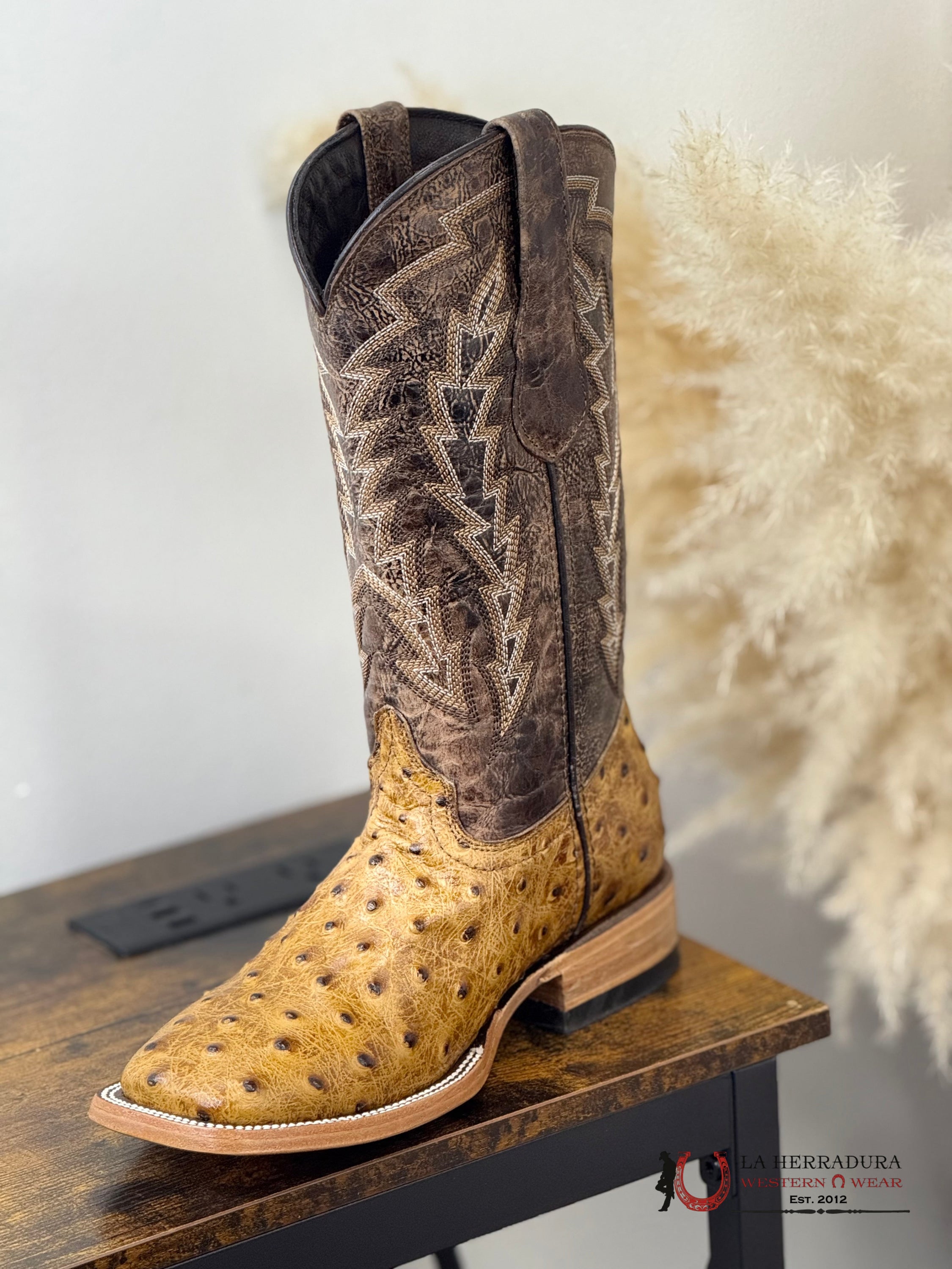 ROCKEM YOUTH IMIT. RANCH OSTRICH 7 YOUTH / HONEY NIÑOS