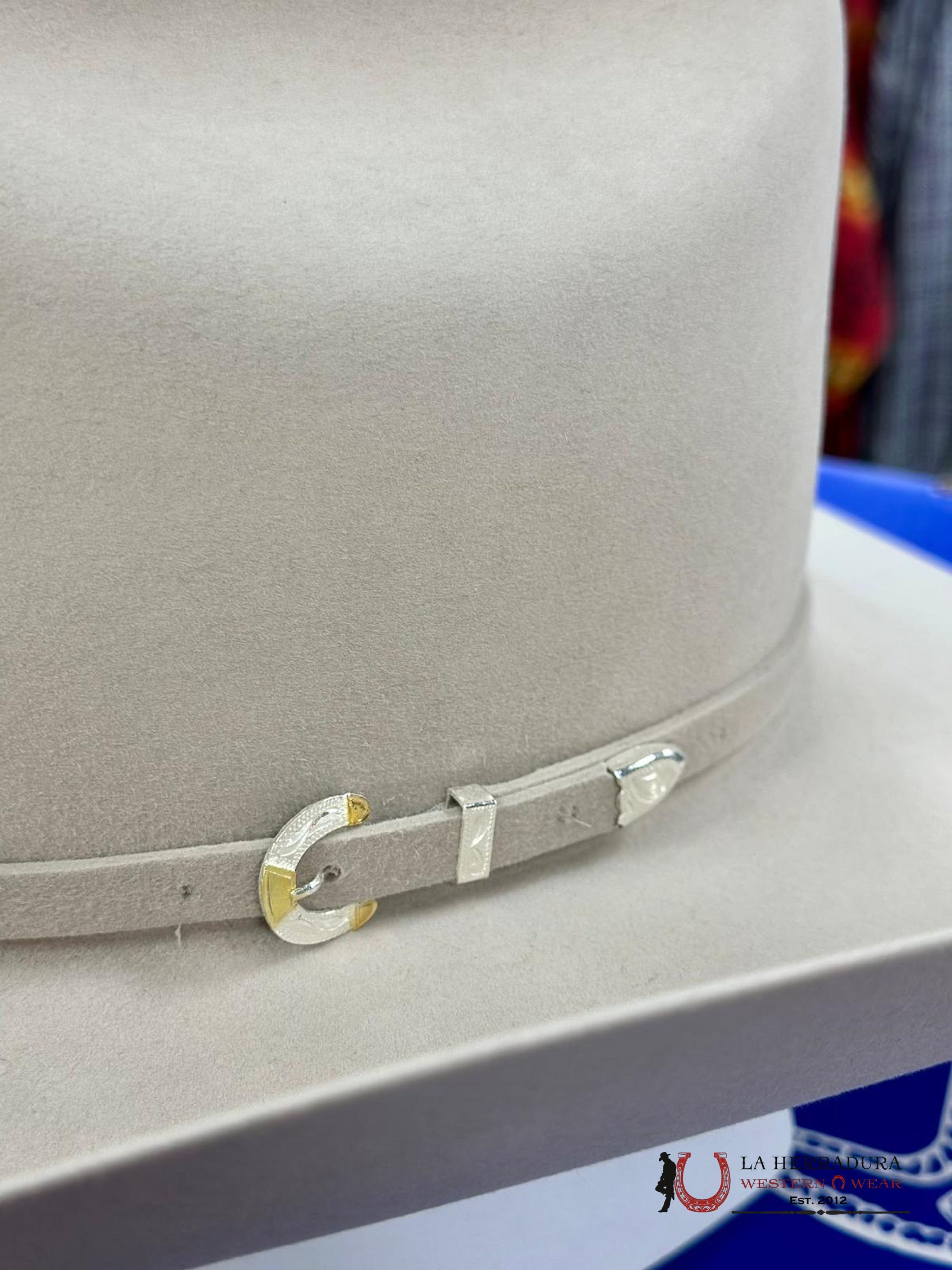 Rodeo King 1000X Silver Belly Top Hand Tejana