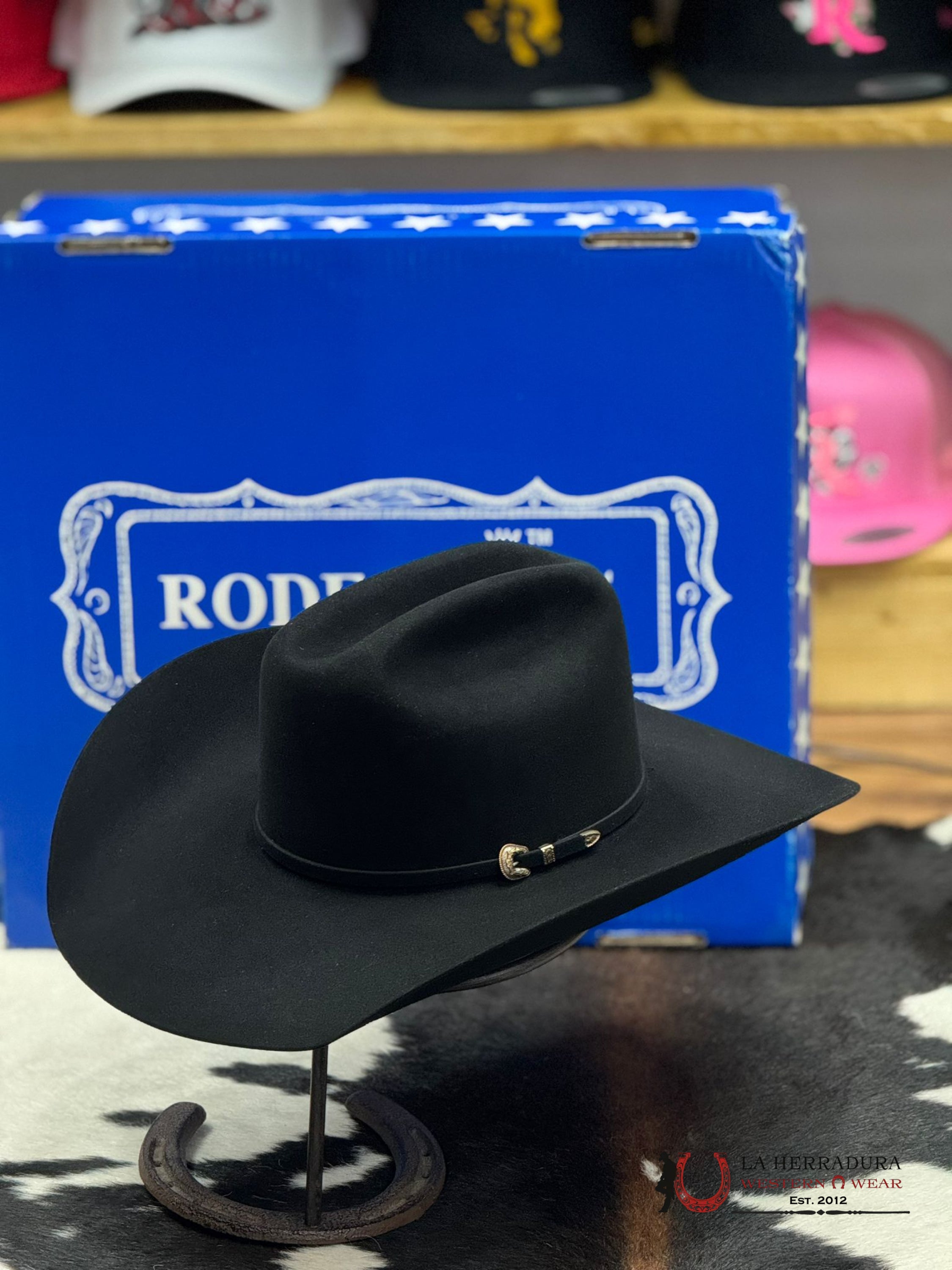 Rodeo King 100X Black Top Hand Tejana