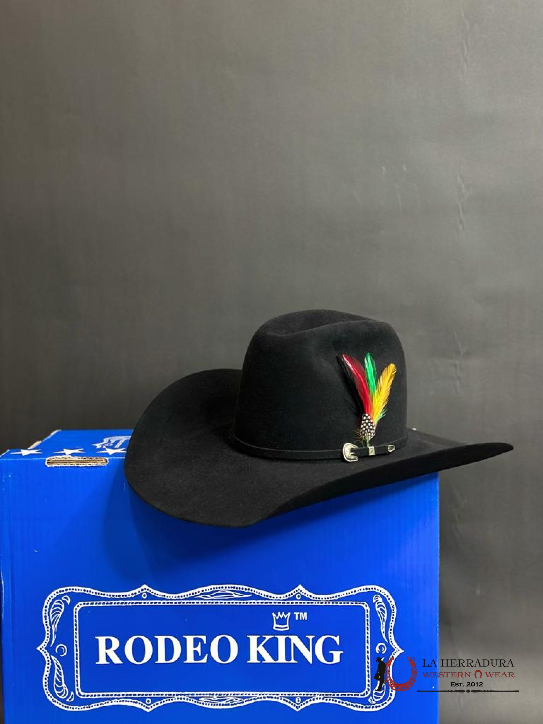 Rodeo King 100X Black Top Hand Tejana