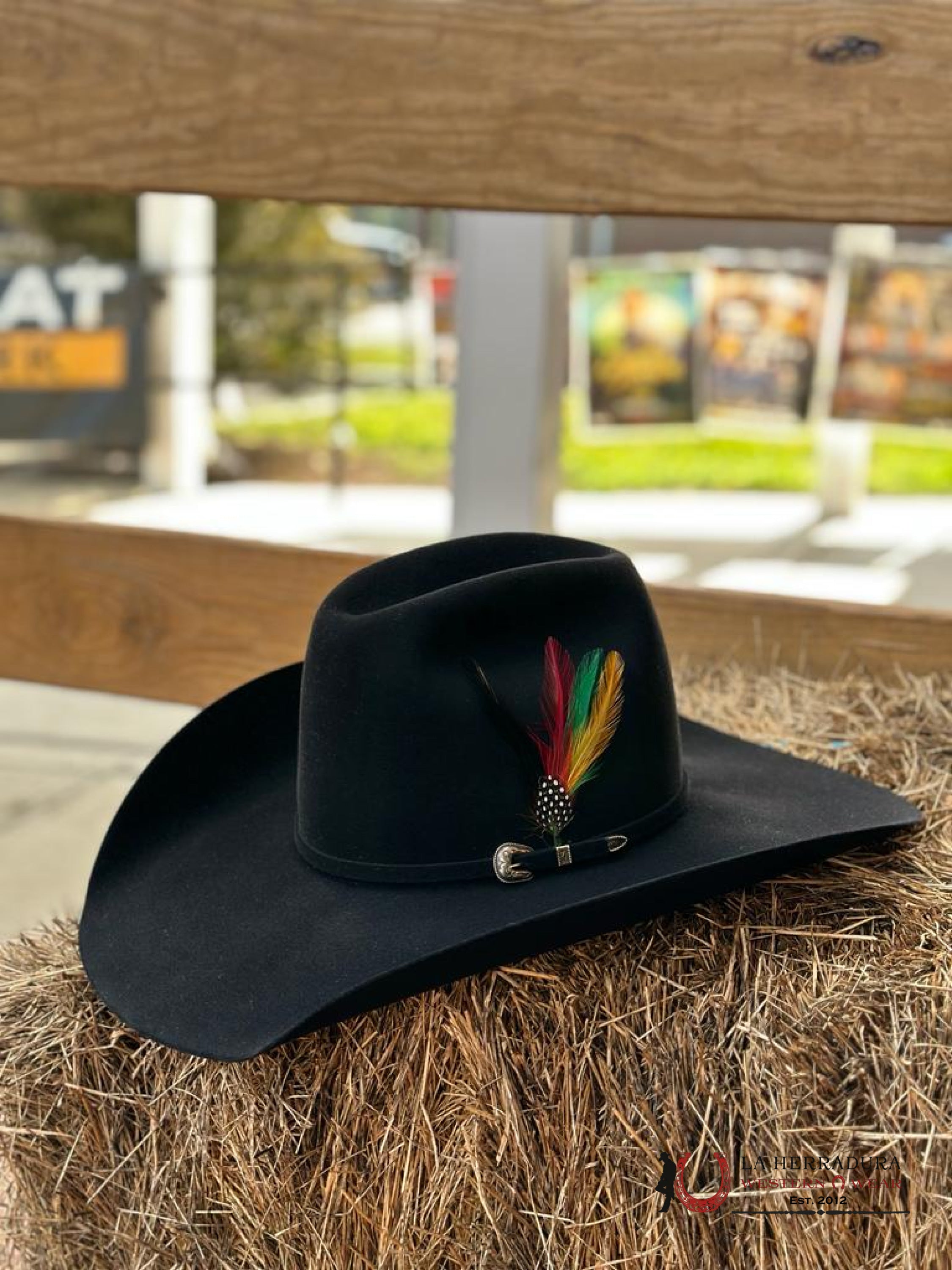 Rodeo King 100X Black Top Hand Tejana