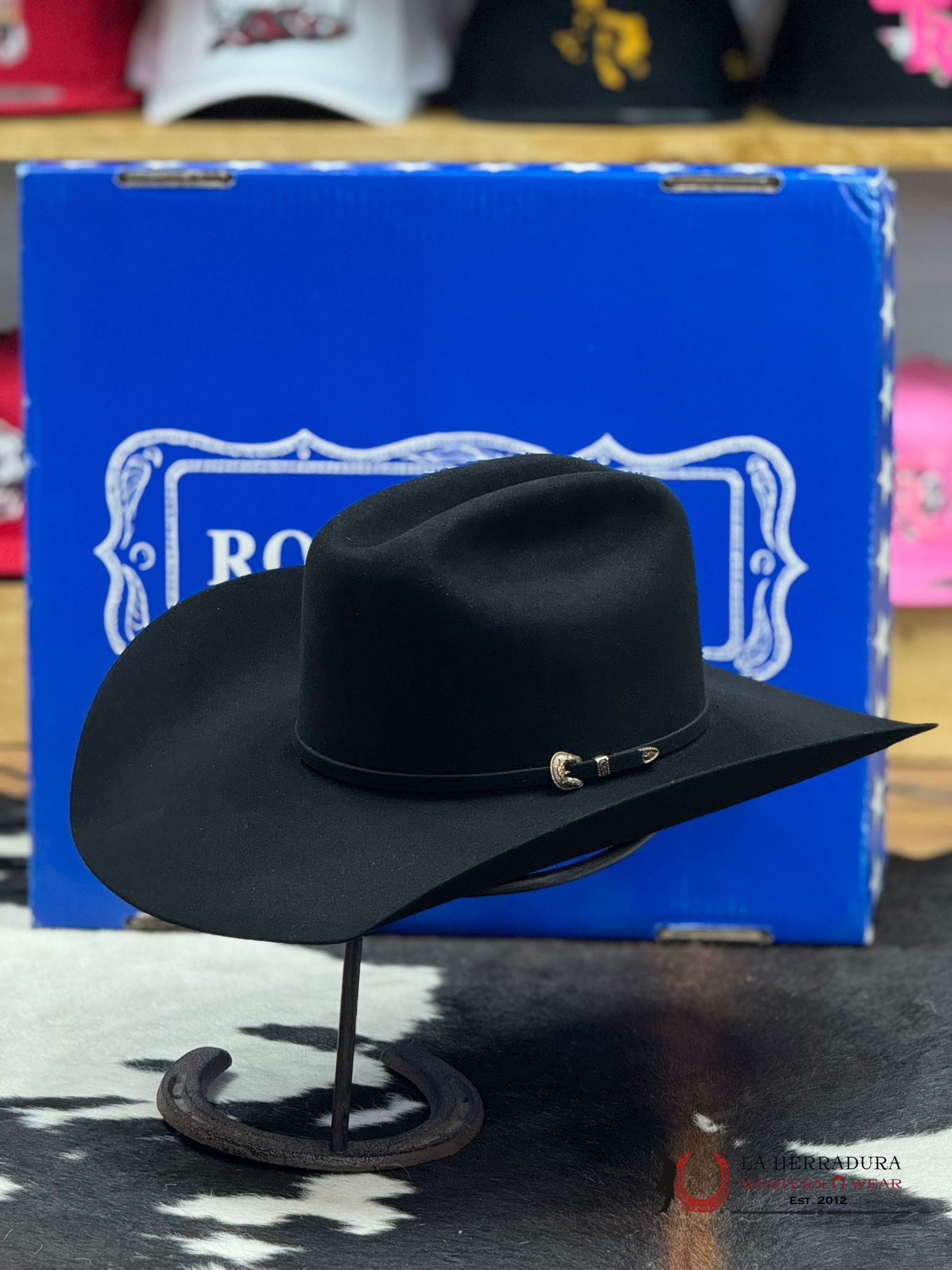 Rodeo King 100X Black Top Hand Tejana