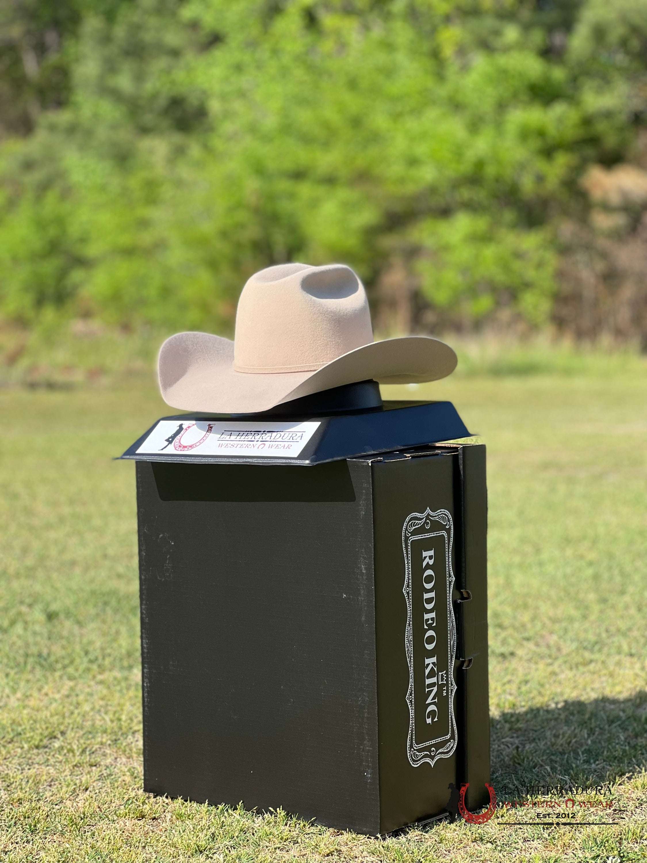 Rodeo King 10X Buckskin Open Crown Tejana