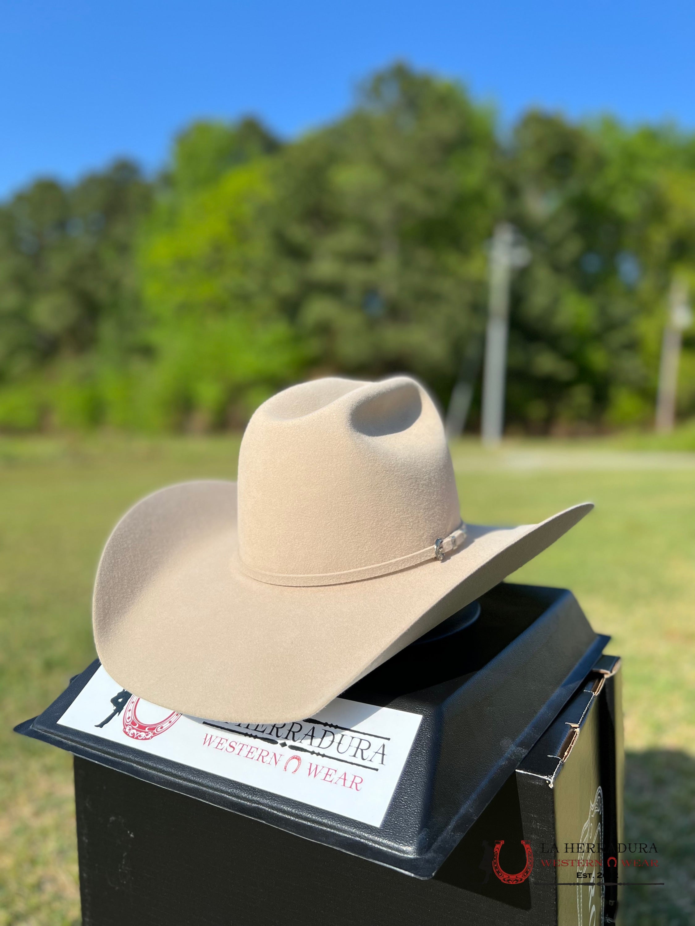 Rodeo King 10X Buckskin Open Crown Tejana