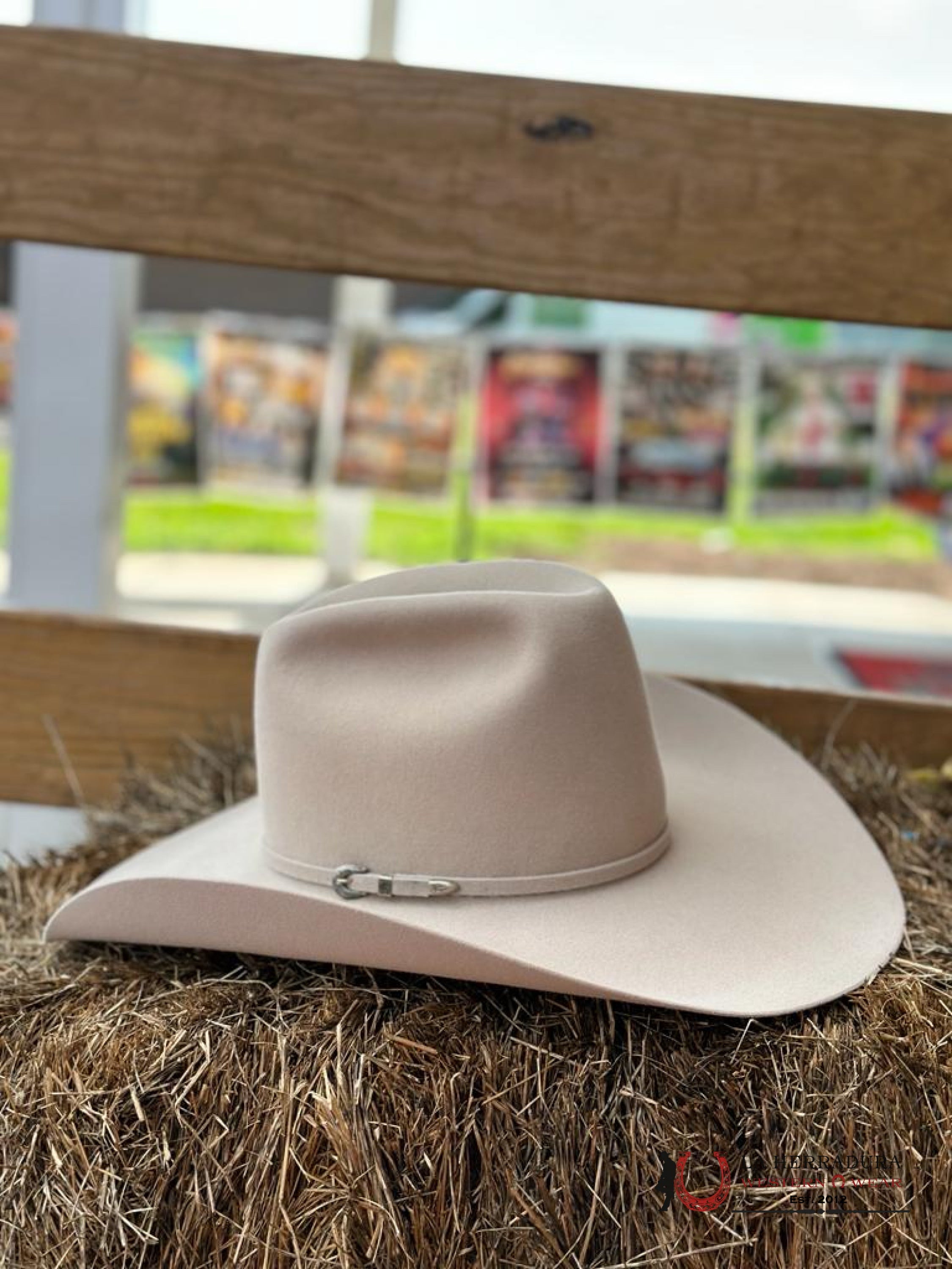 Rodeo King 10X Buckskin Open Crown Tejana