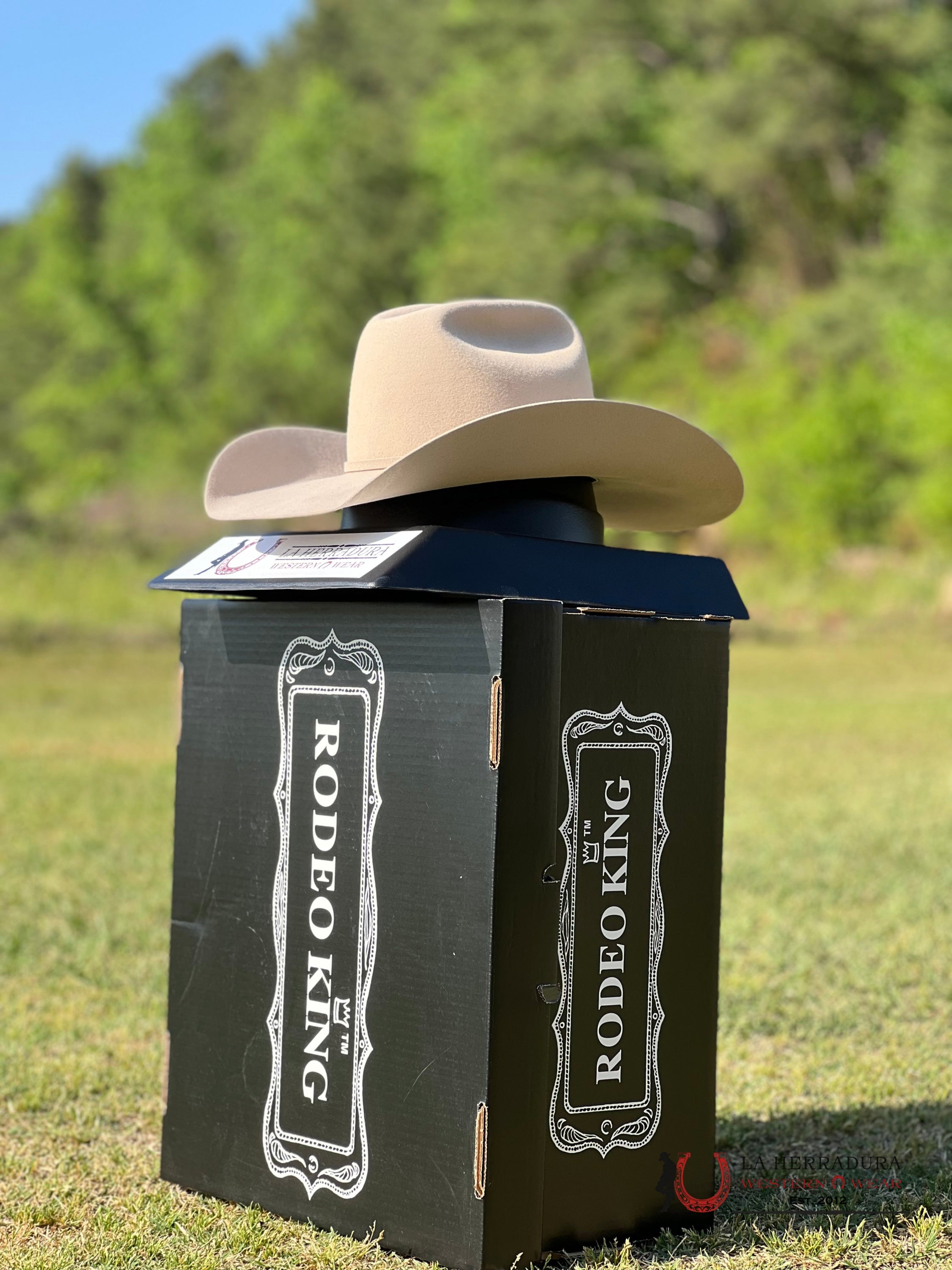 Rodeo King 10X Buckskin Open Crown Tejana