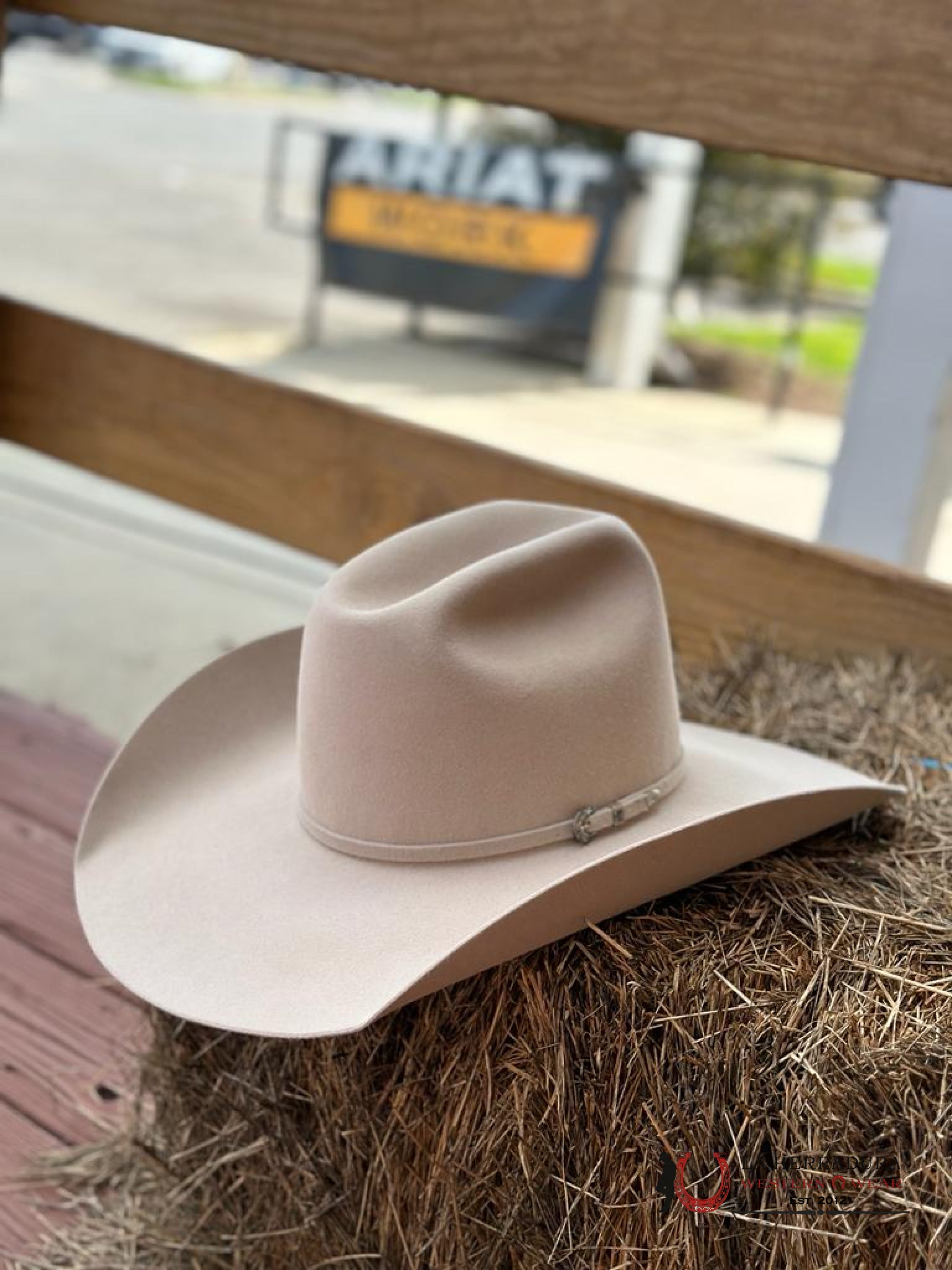 Rodeo King 10X Buckskin Open Crown Tejana