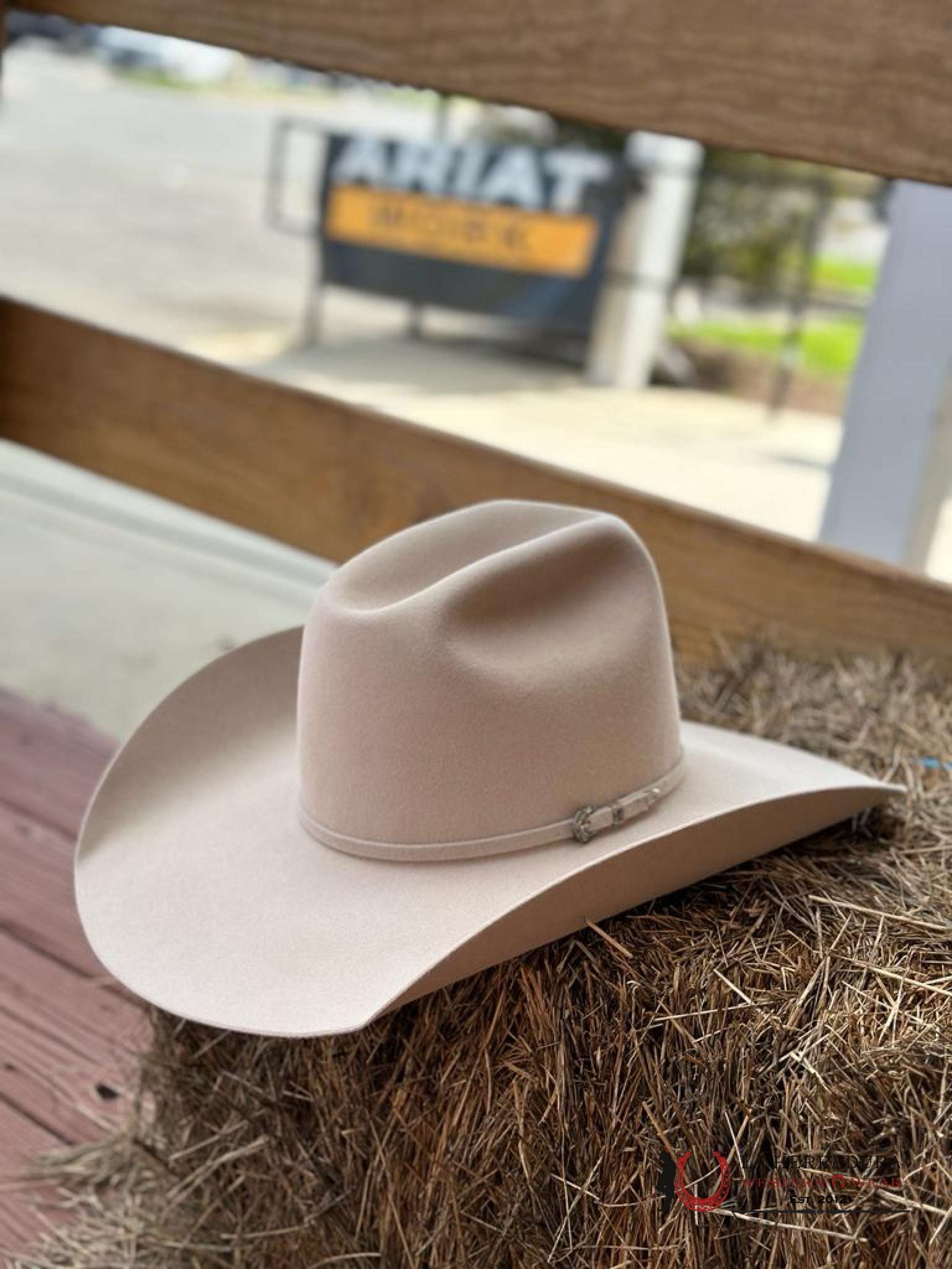 Rodeo King 10X Buckskin Open Crown Tejana