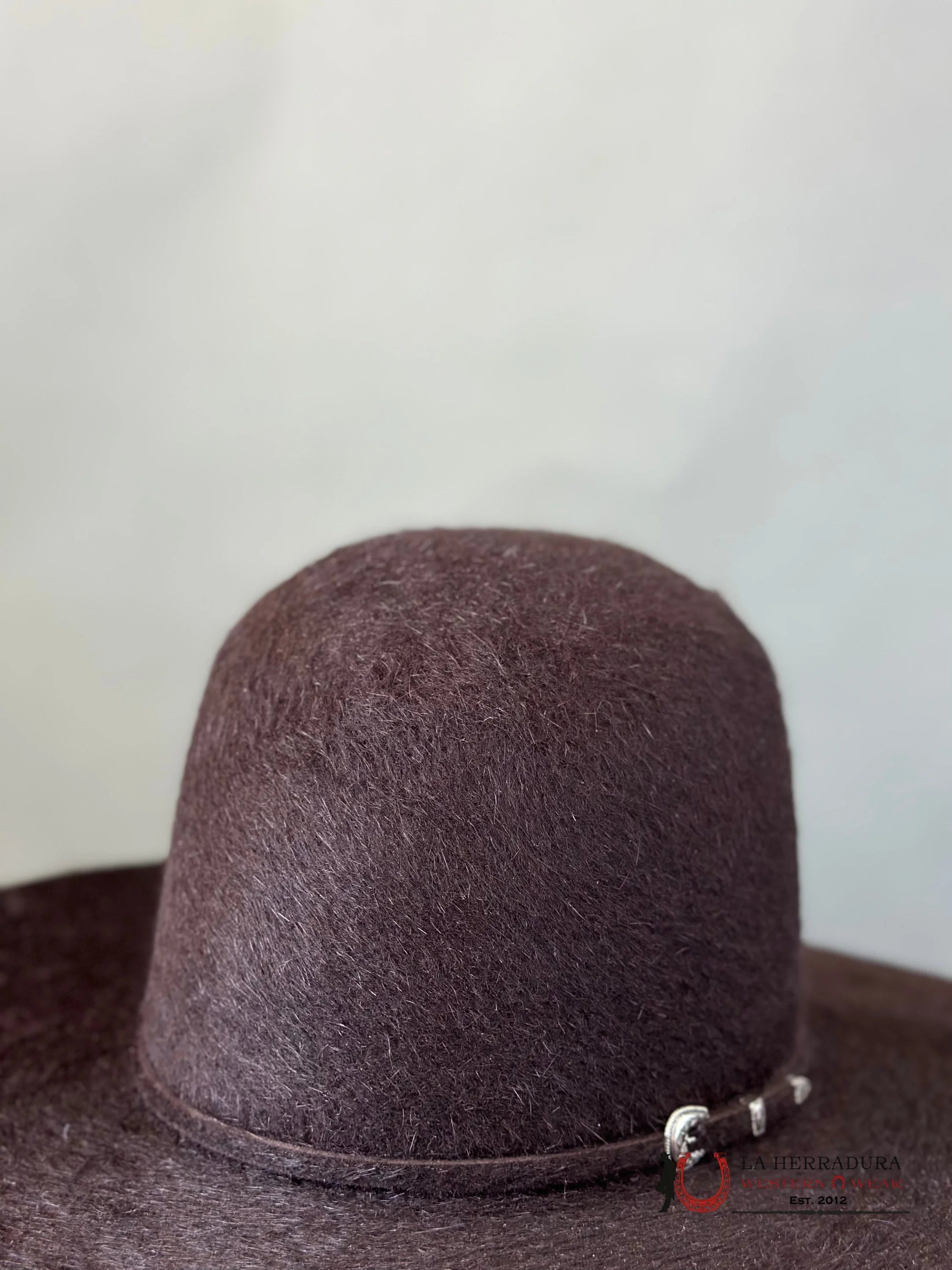 Rodeo King 10X Grizzly Black Cherry Open Crown Tejana