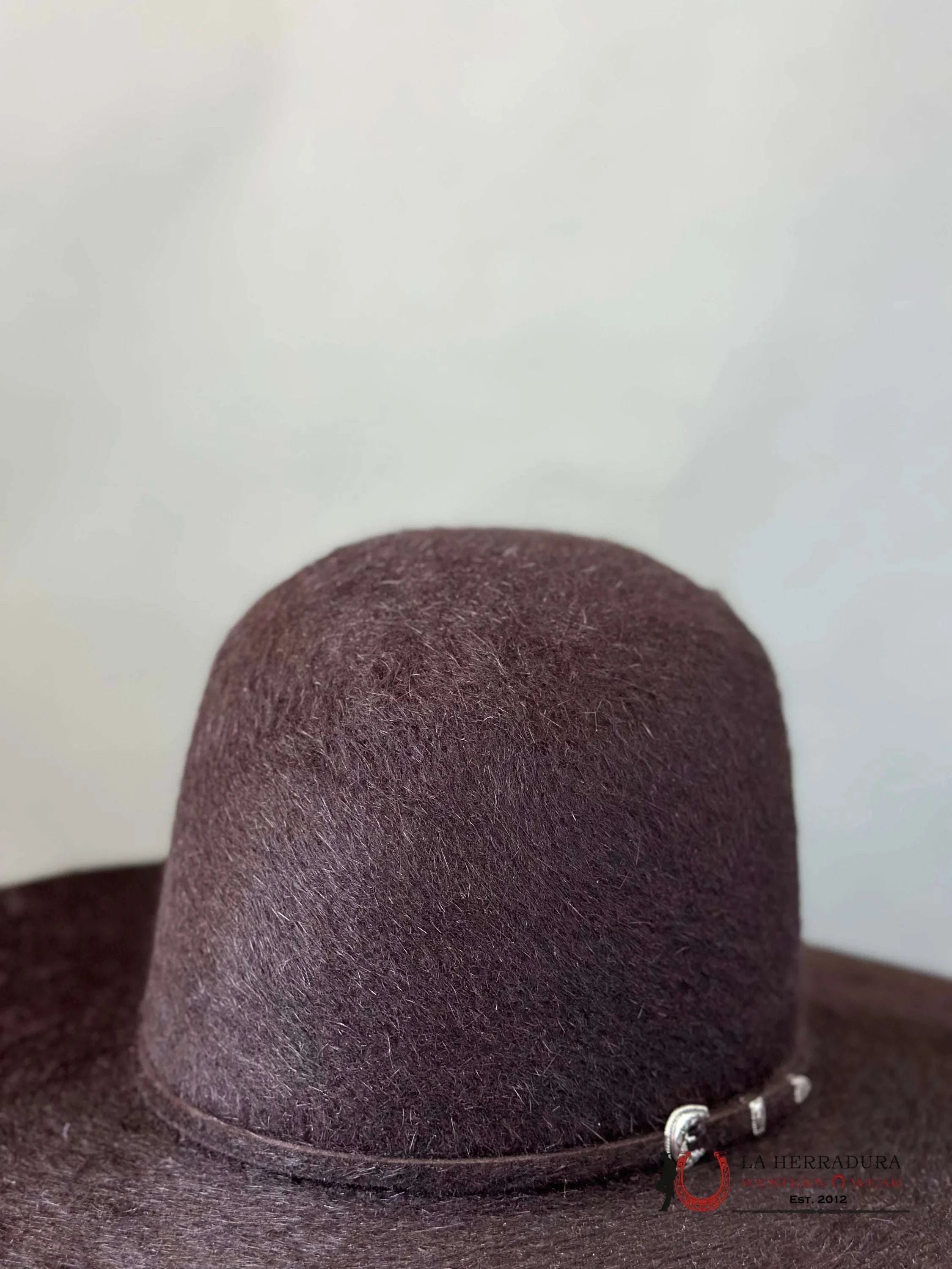 Rodeo King 10X Grizzly Black Cherry Open Crown Tejana