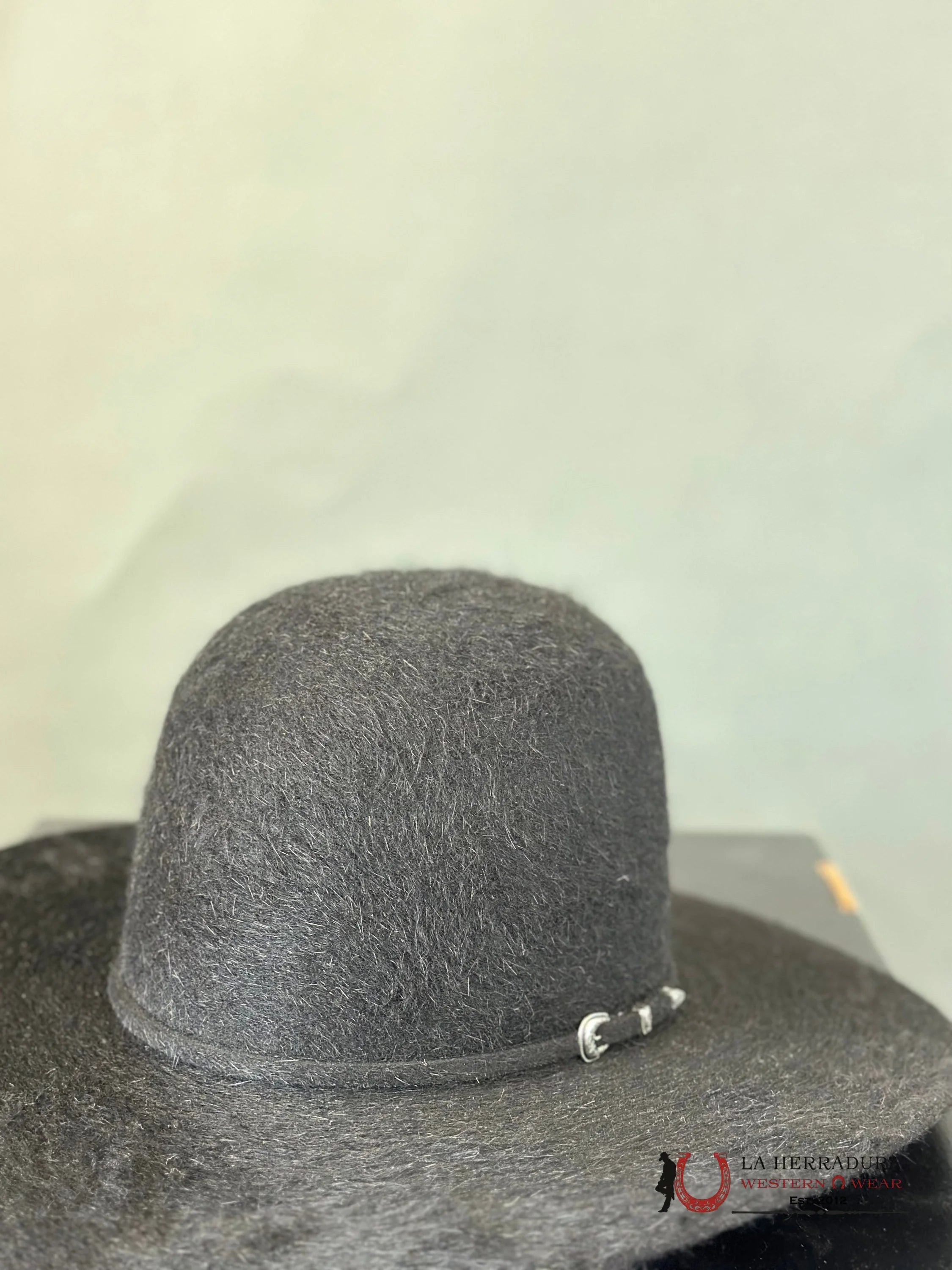 Rodeo King 10X Grizzly Black Open Crown Tejana