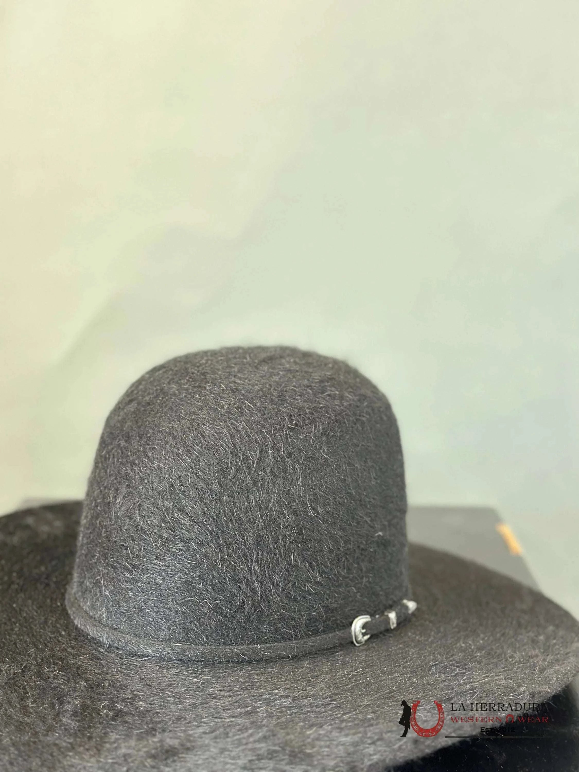Rodeo King 10X Grizzly Black Open Crown Tejana