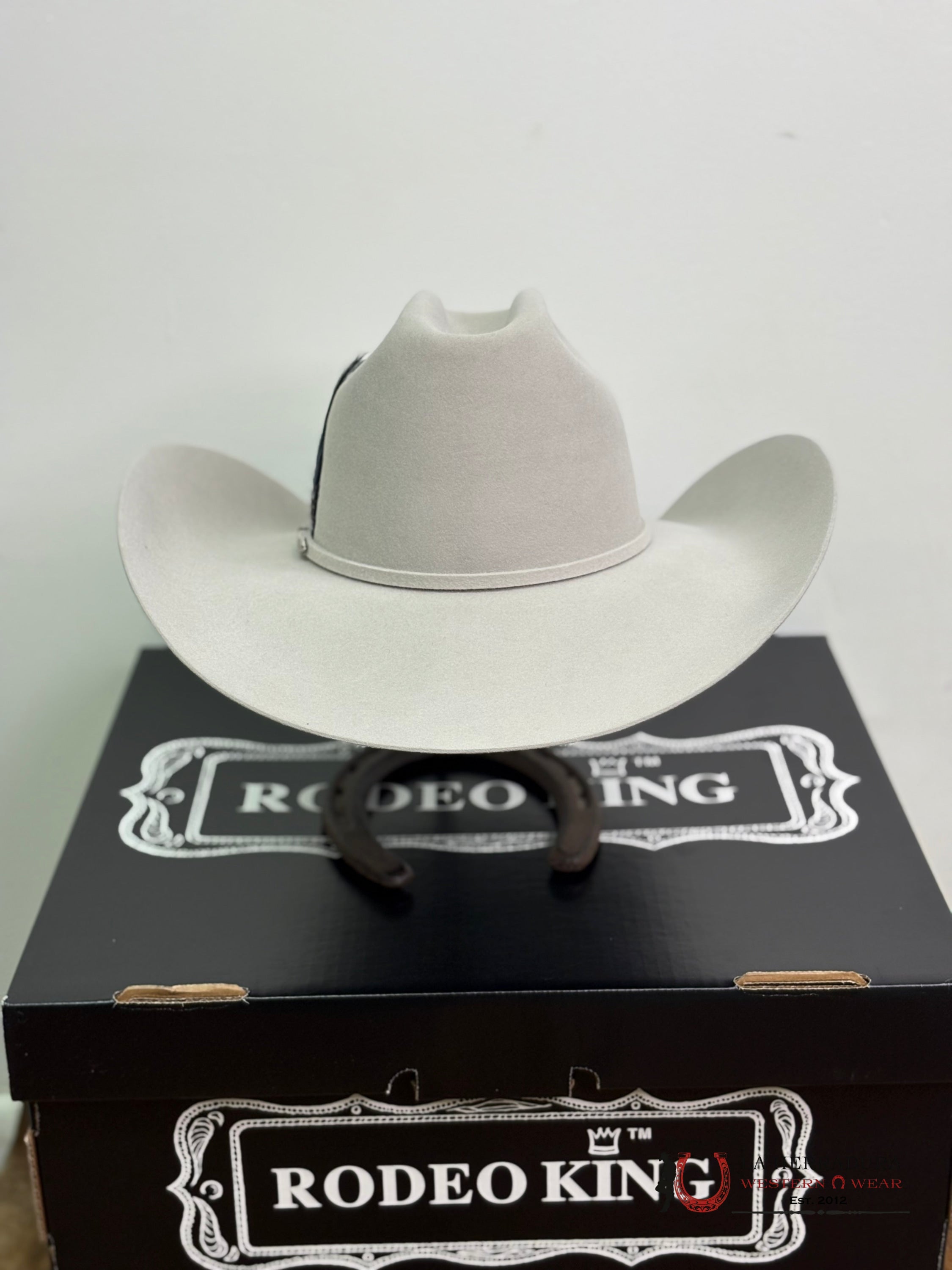 Rodeo King 10x Silver Belly Open Crown Malboro Shape TEJANA