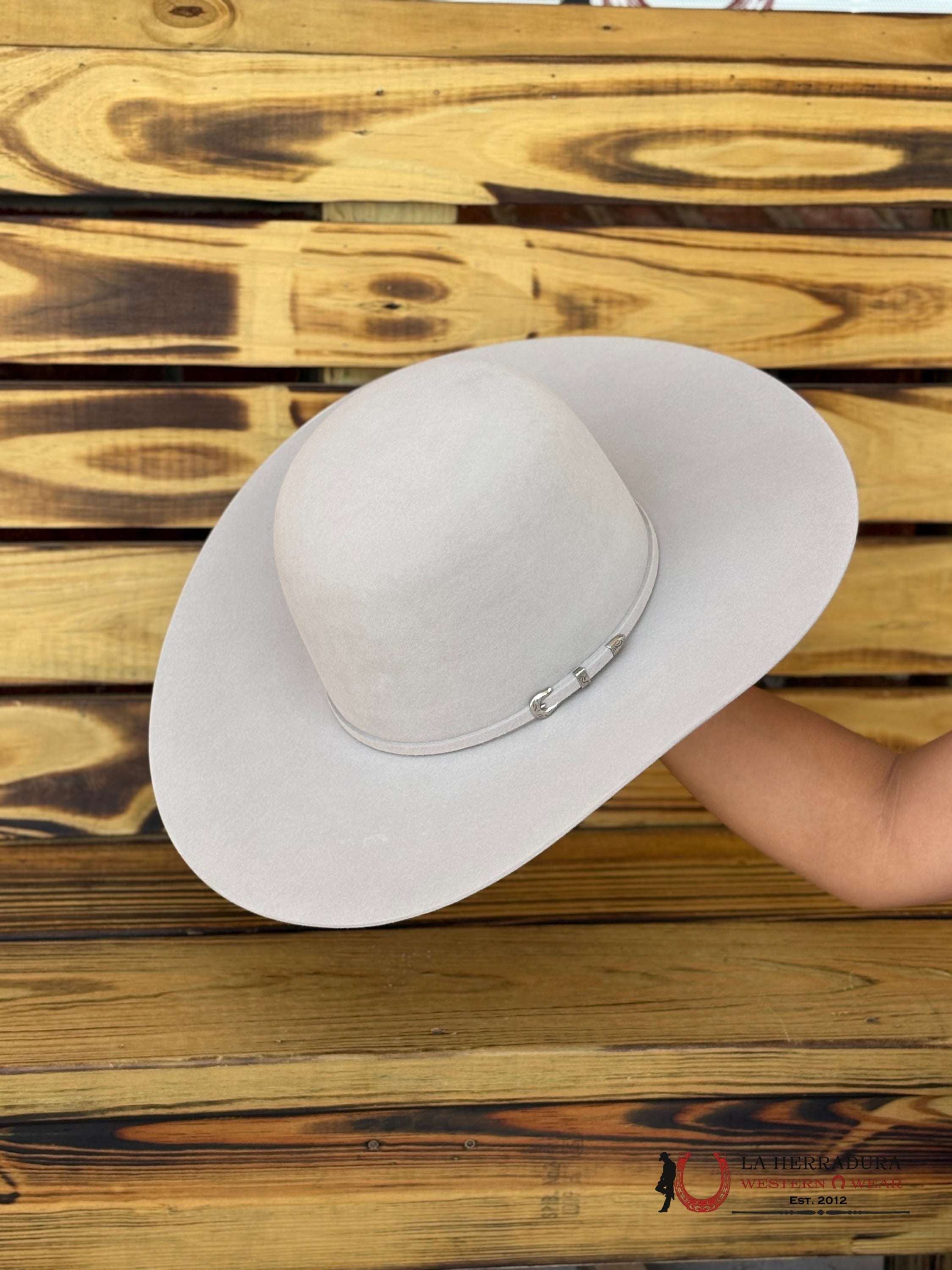 Rodeo King 10x Silver Belly Open Crown Malboro Shape TEJANA