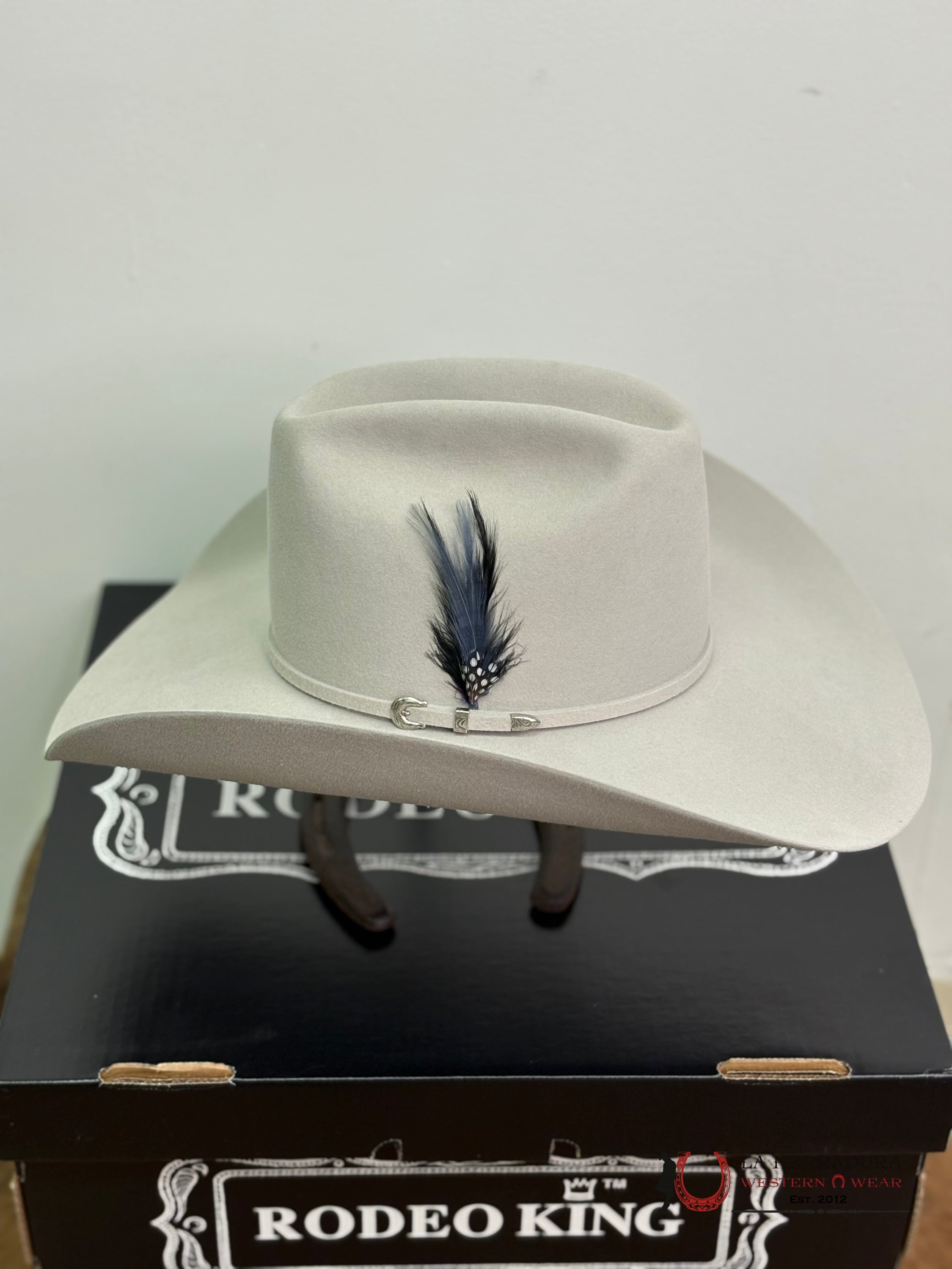 Rodeo King 10x Silver Belly Open Crown Malboro Shape TEJANA