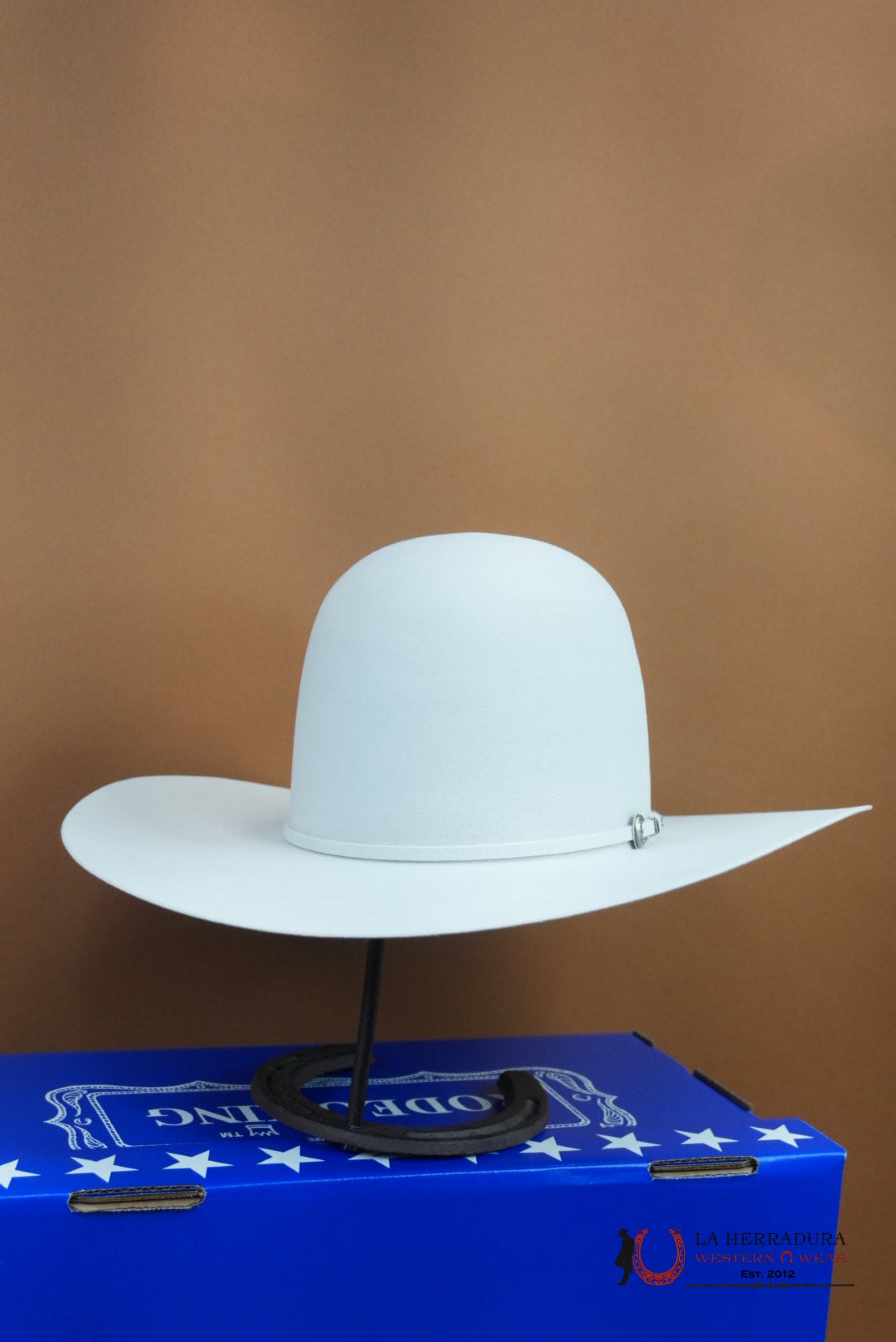 RODEO KING 30x Silver Mist Open Crown TEJANA