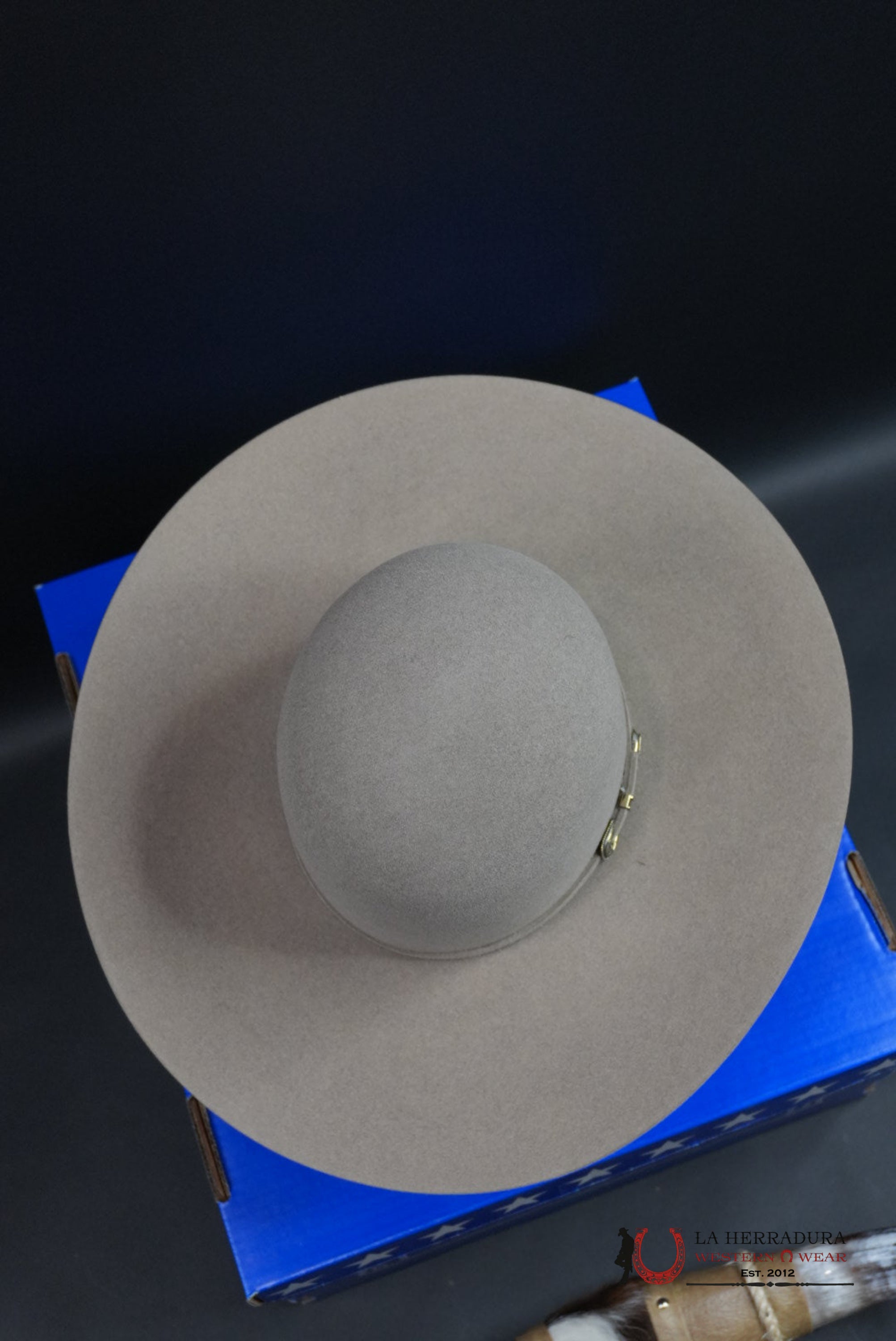 RODEO KING 60X NATURAL OPEN CROWN TEJANA