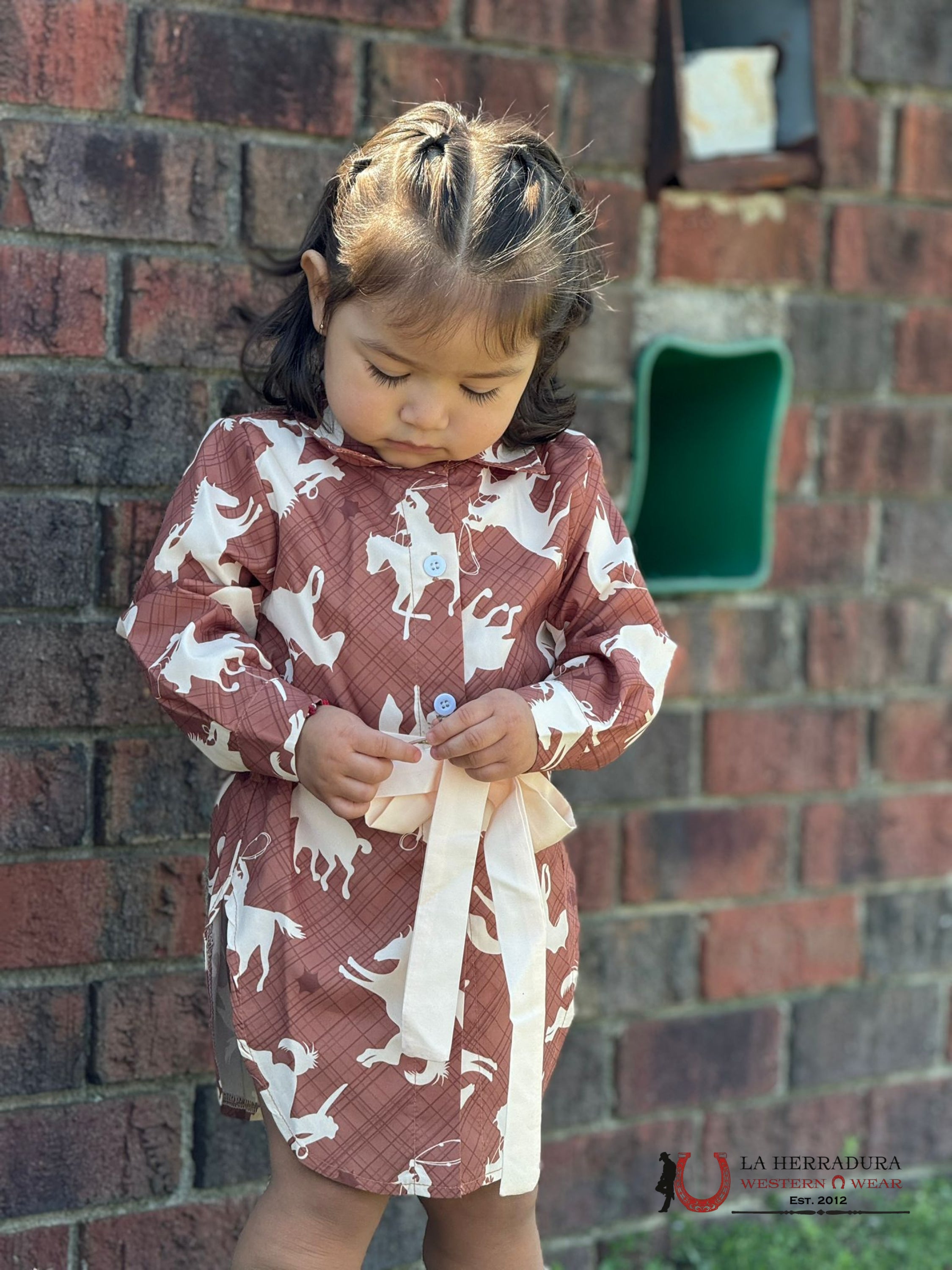 Shea Baby Brown Running Horse Button Up Dress Niños