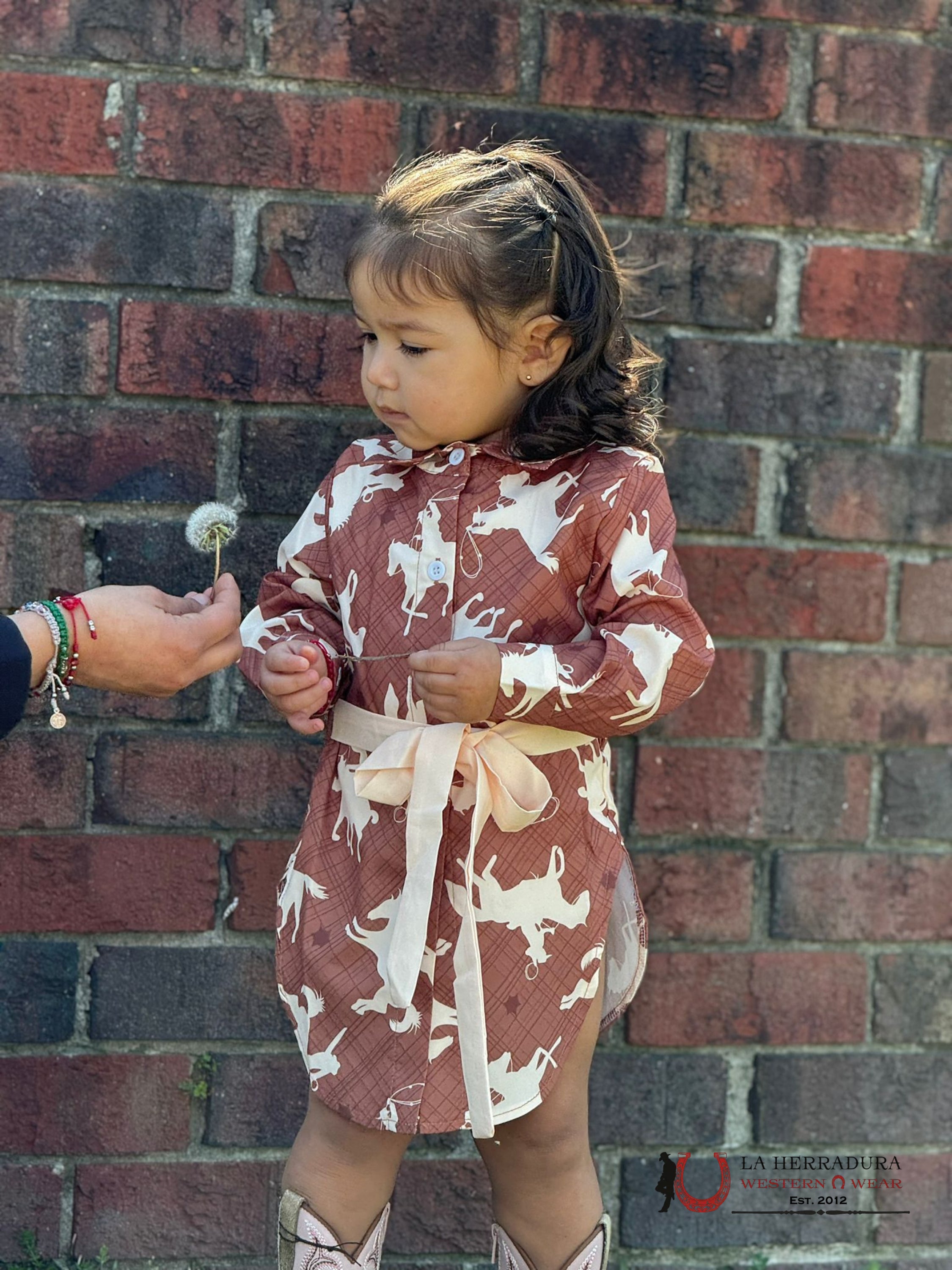 Shea Baby Brown Running Horse Button Up Dress Niños