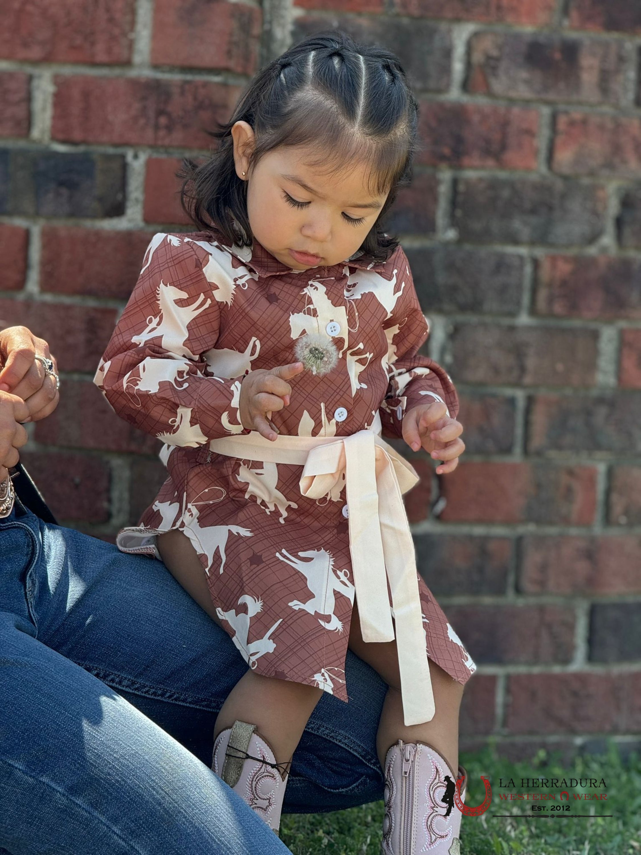 Shea Baby Brown Running Horse Button Up Dress Niños
