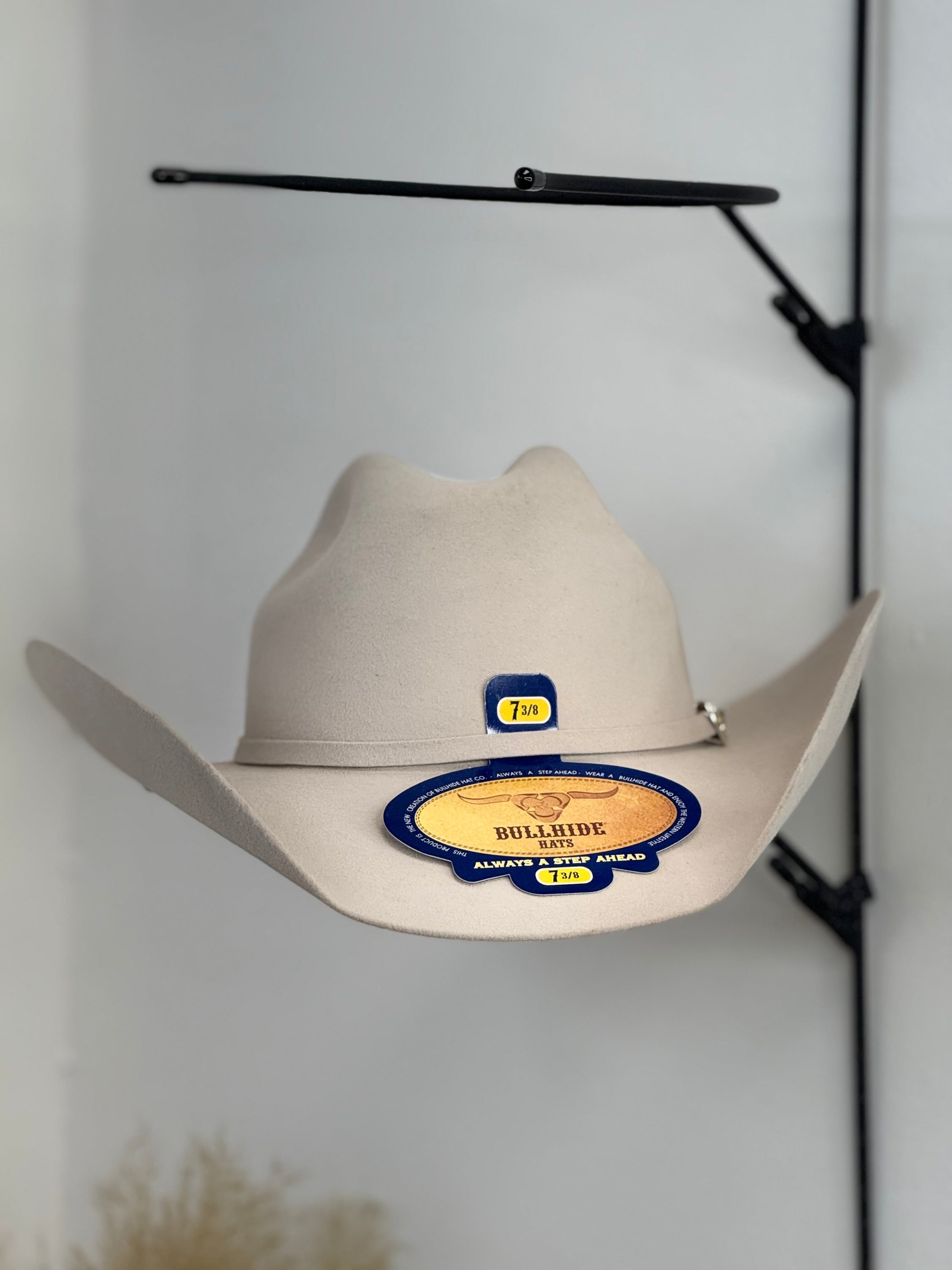 SILVER BELLY BULLHIDE 8X COWBOY FELT HAT TEJANA