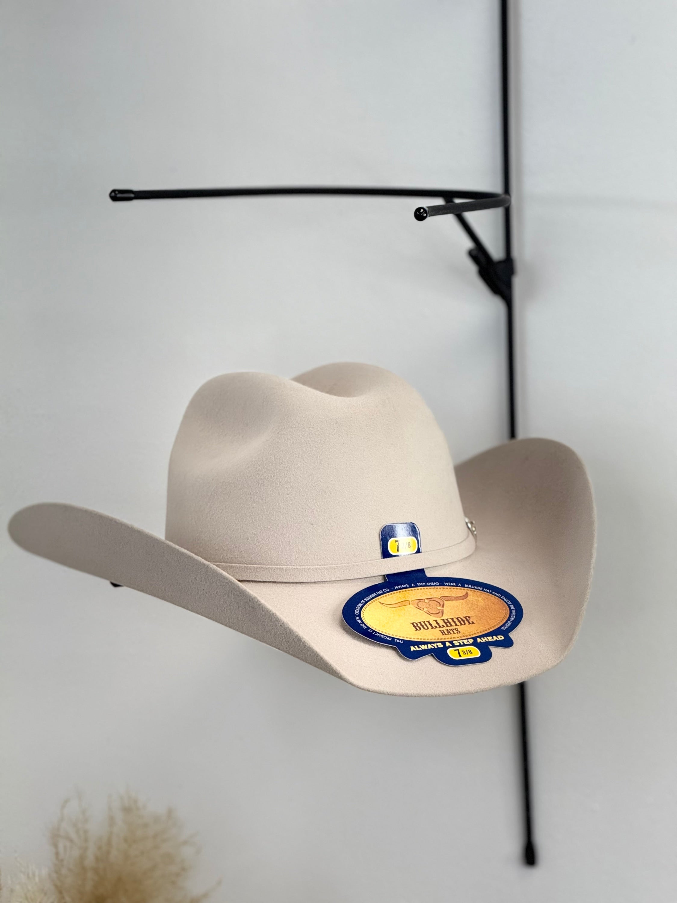SILVER BELLY BULLHIDE 8X COWBOY FELT HAT TEJANA