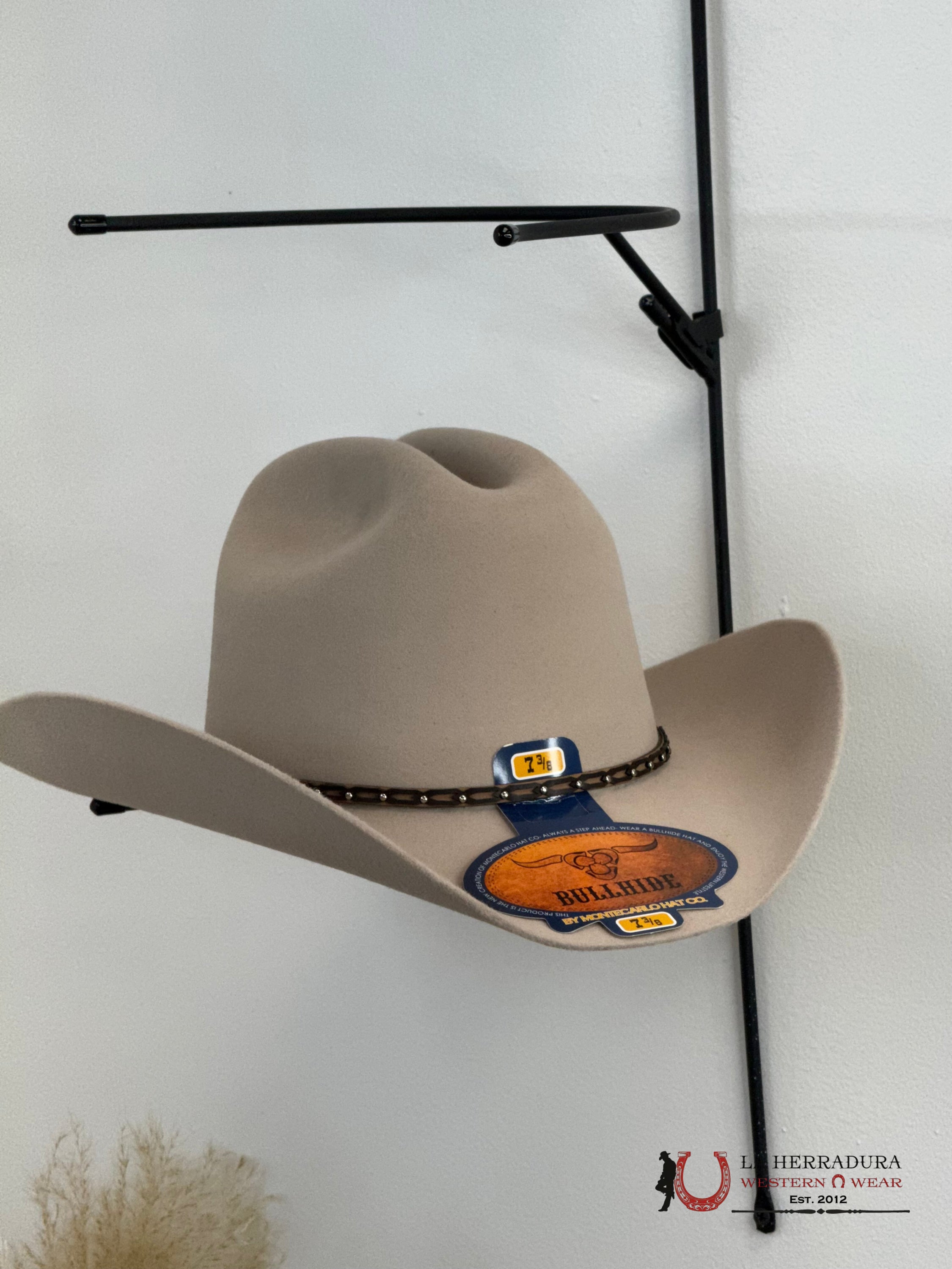 SILVER BELLY DEL NORTE BULLHIDE 8X FELT HAT TEJANA