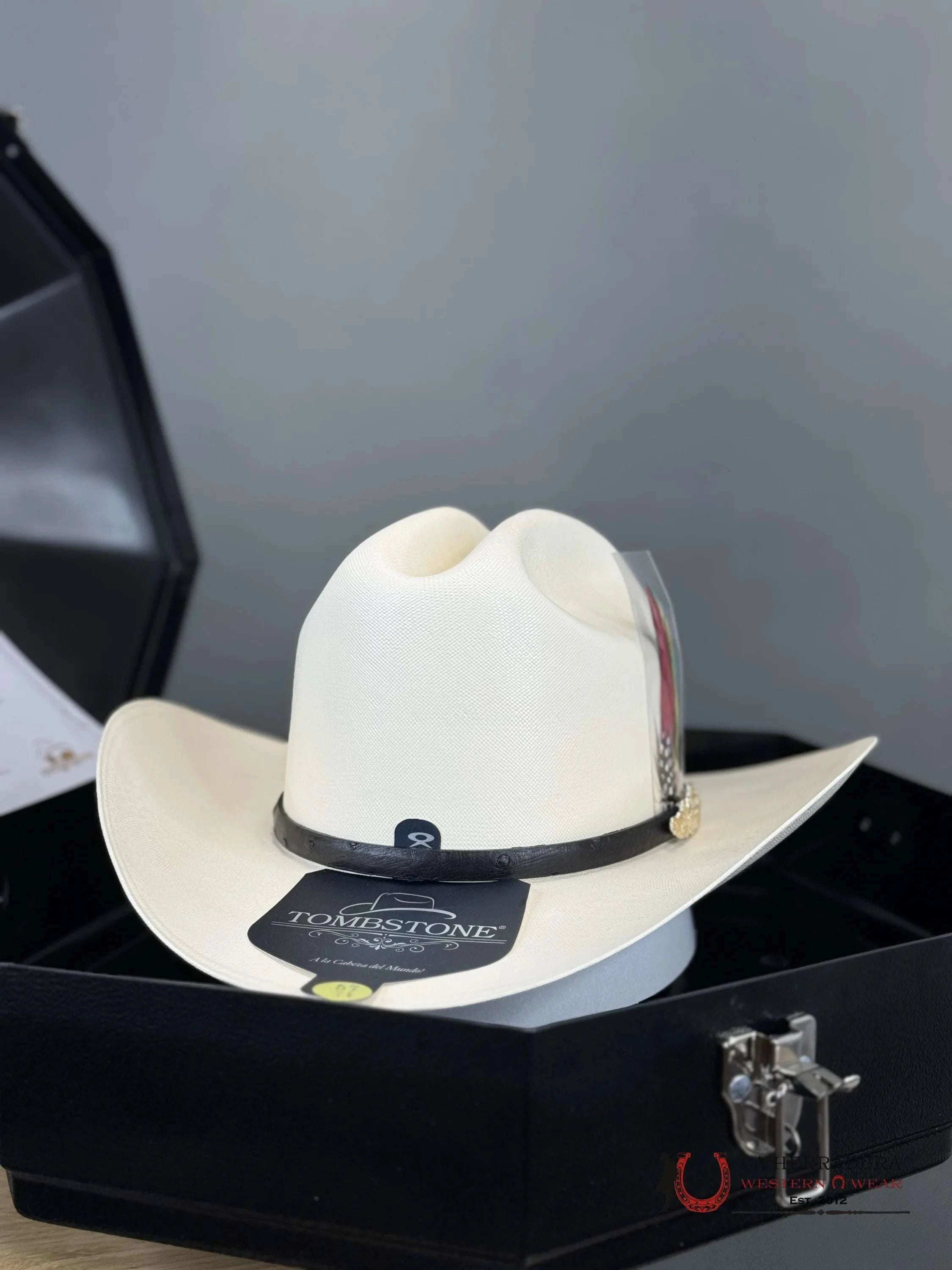 Sombrero Tombstone 10 000X Premium El Chaparral Sinaloa Tejana