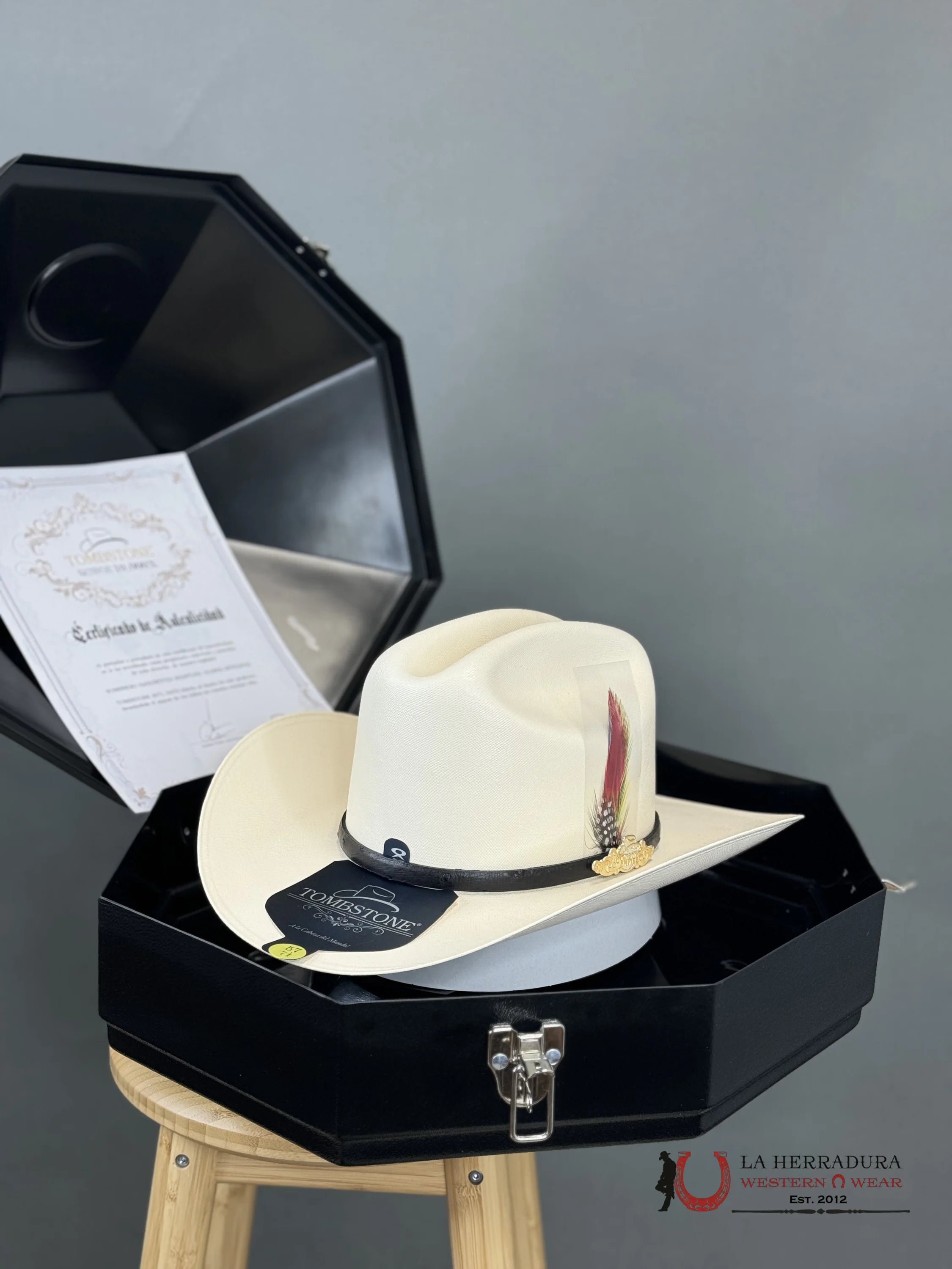 Sombrero Tombstone 10 000X Premium El Chaparral Sinaloa Tejana