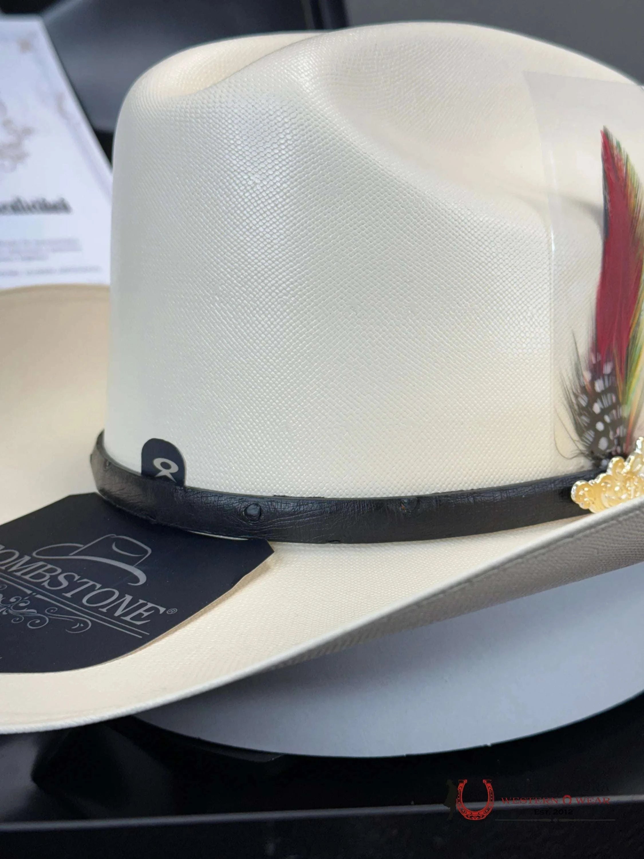 Sombrero Tombstone 10 000X Premium El Chaparral Sinaloa Tejana