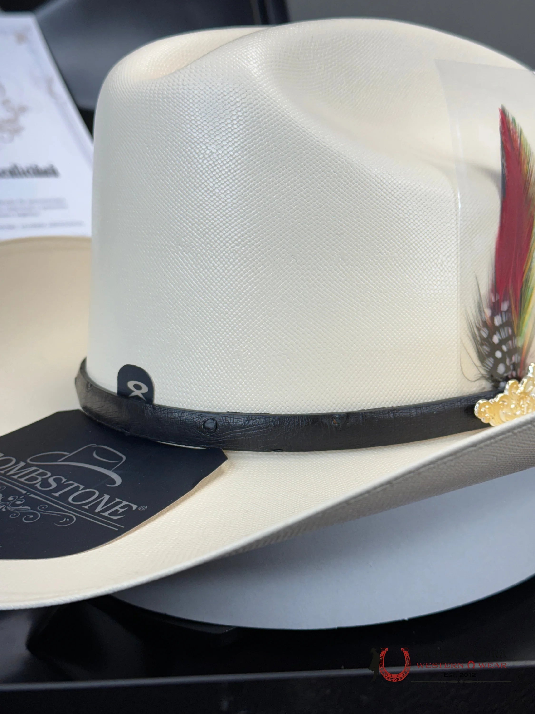 Sombrero Tombstone 10 000X Premium El Chaparral Sinaloa Tejana